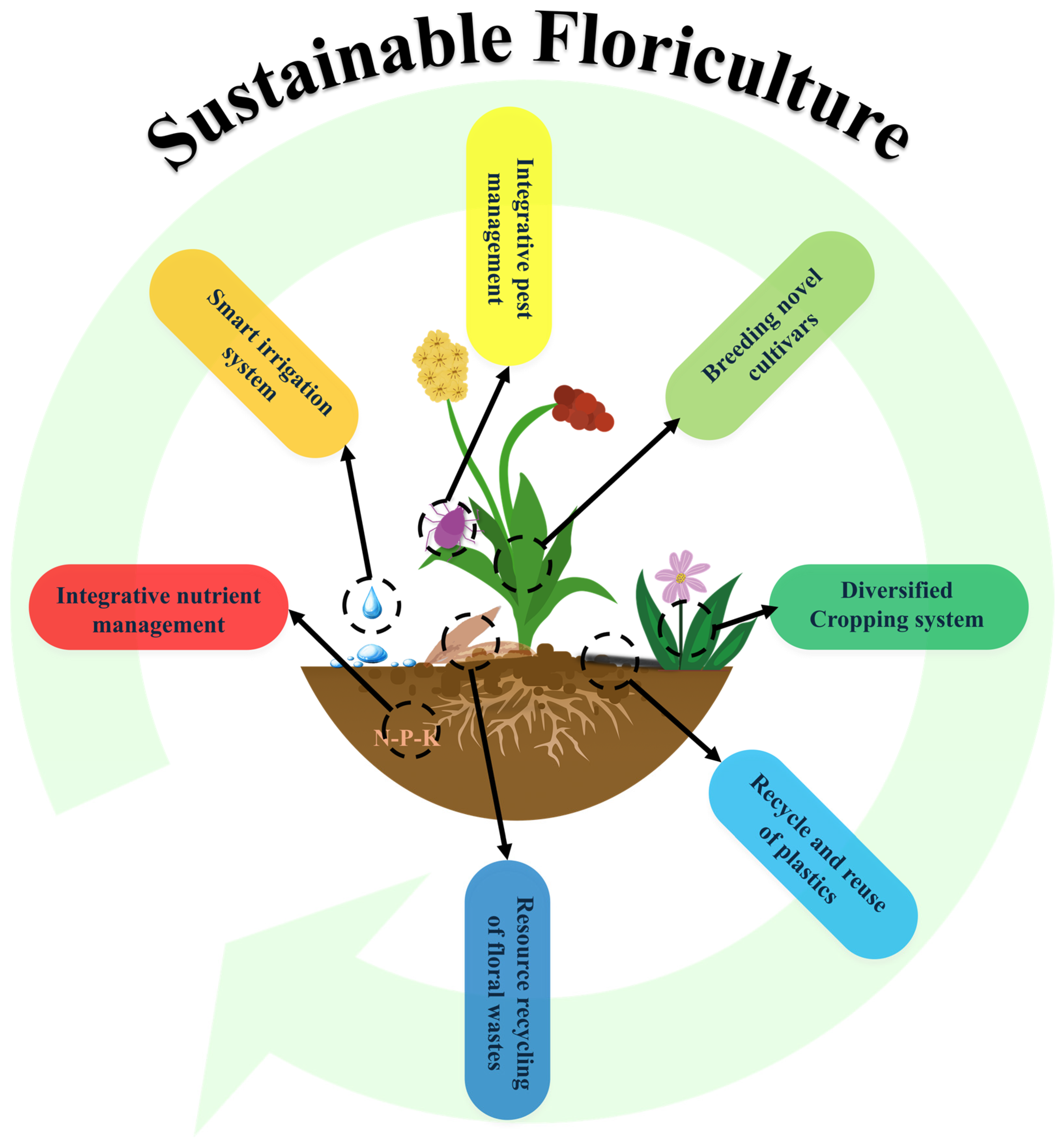 Plants 13 03055 g003