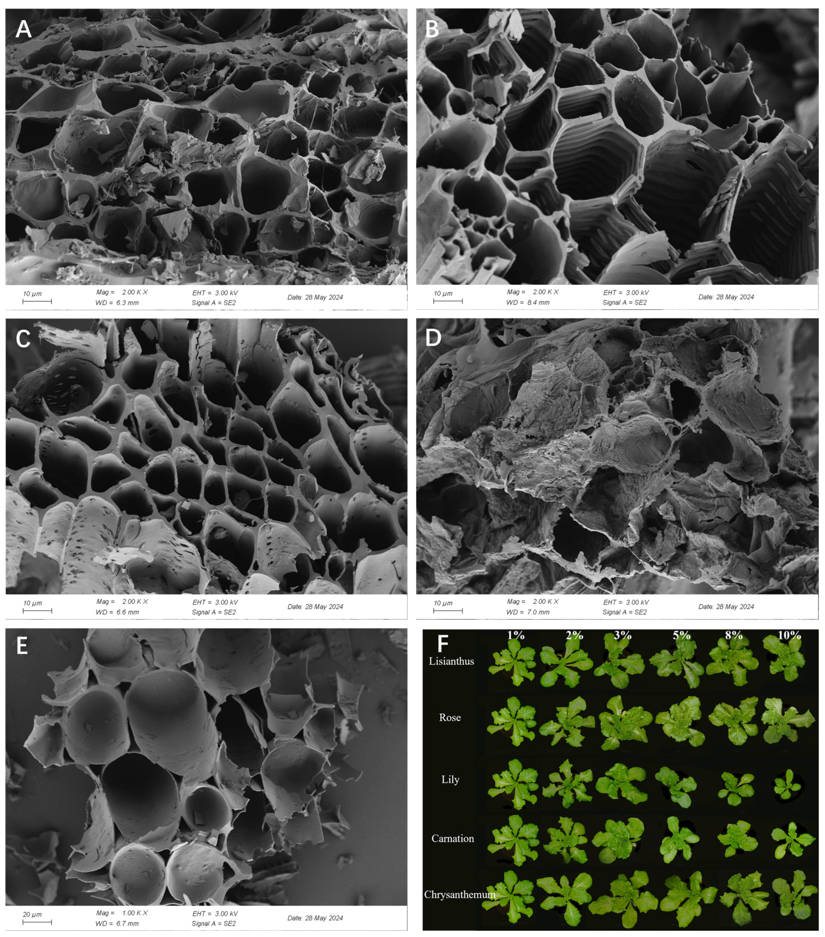 Plants 13 03055 g004