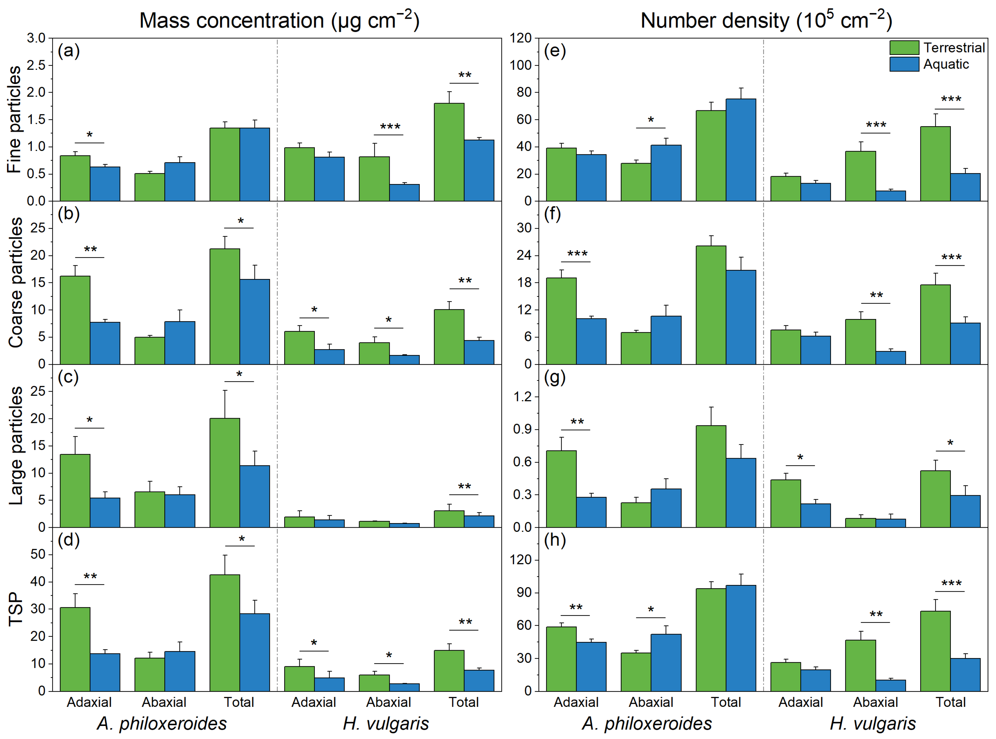 Plants 13 03056 g001