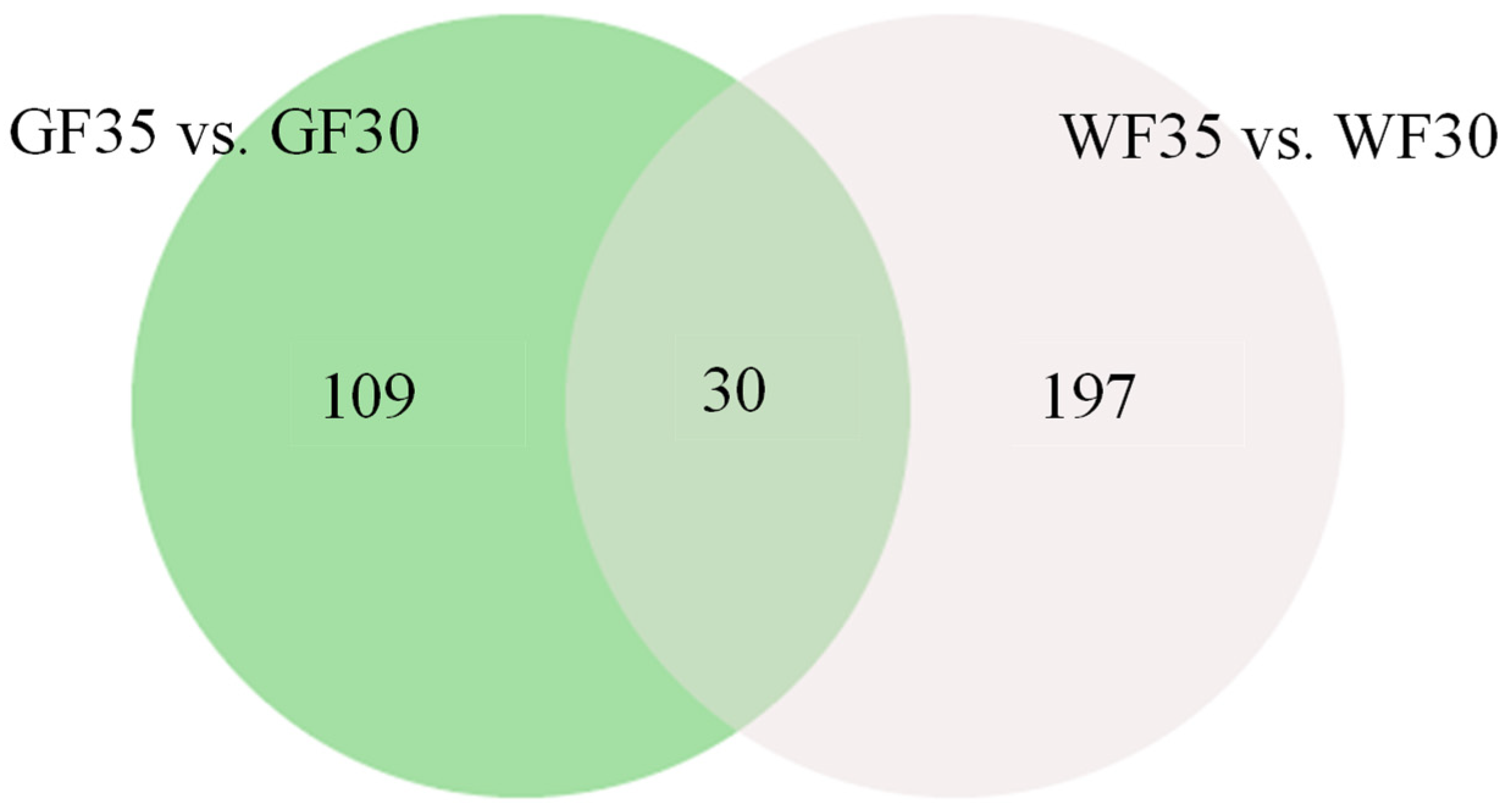 Plants 13 03063 g003