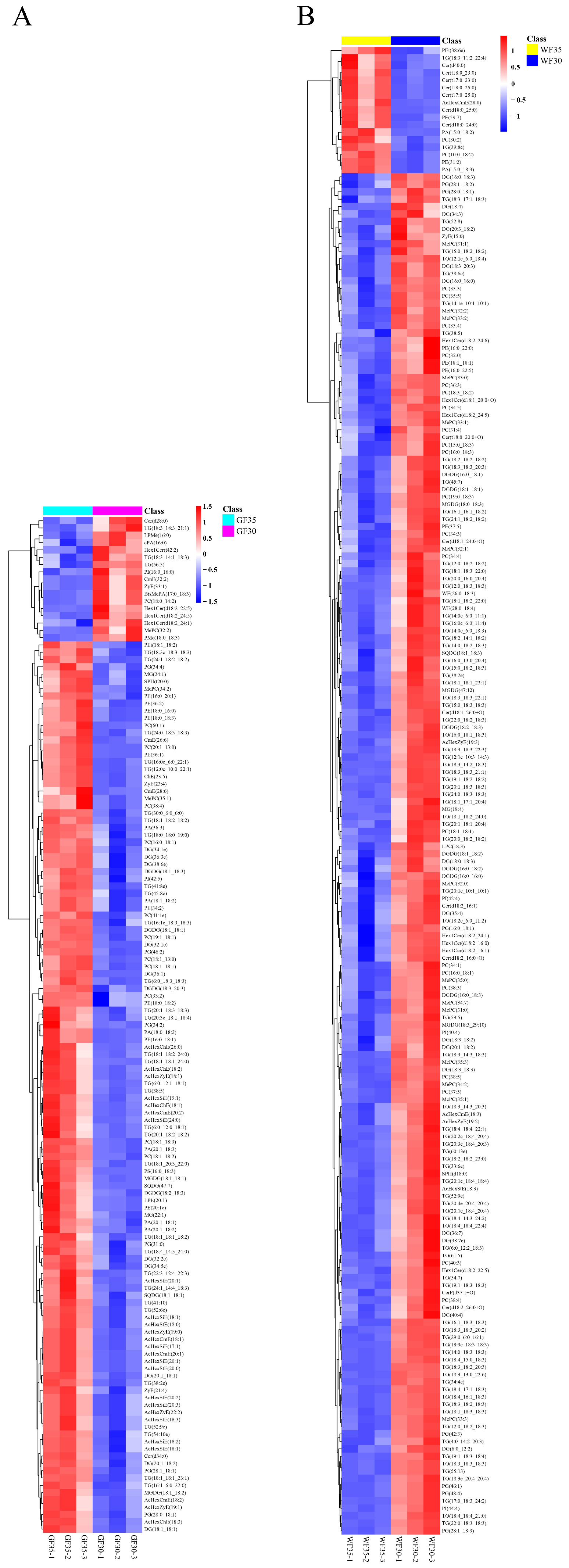 Plants 13 03063 g005