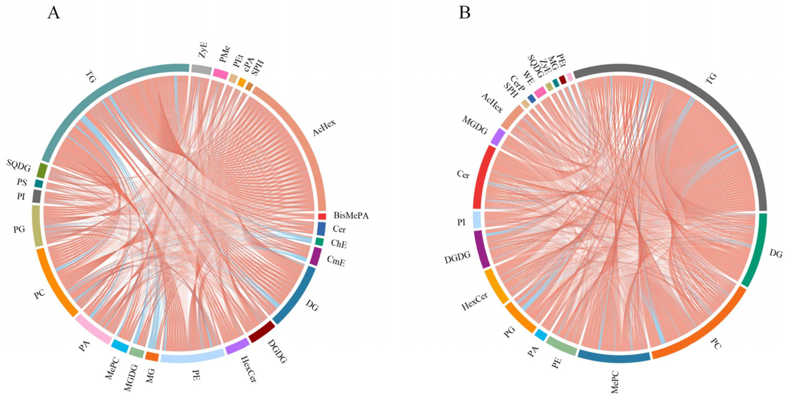 Plants 13 03063 g008