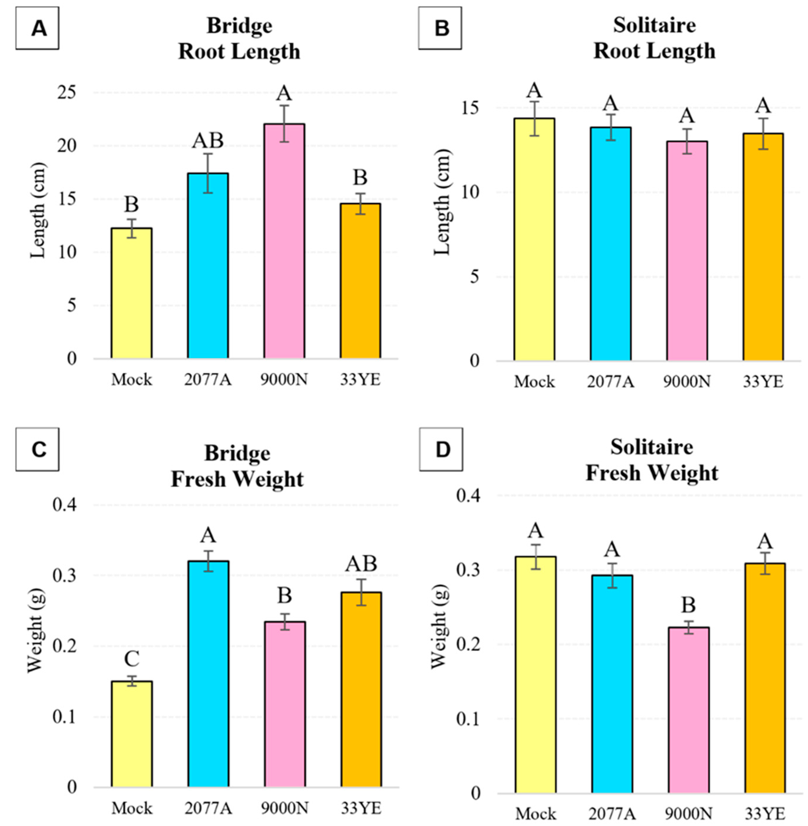 Plants 13 03065 g001