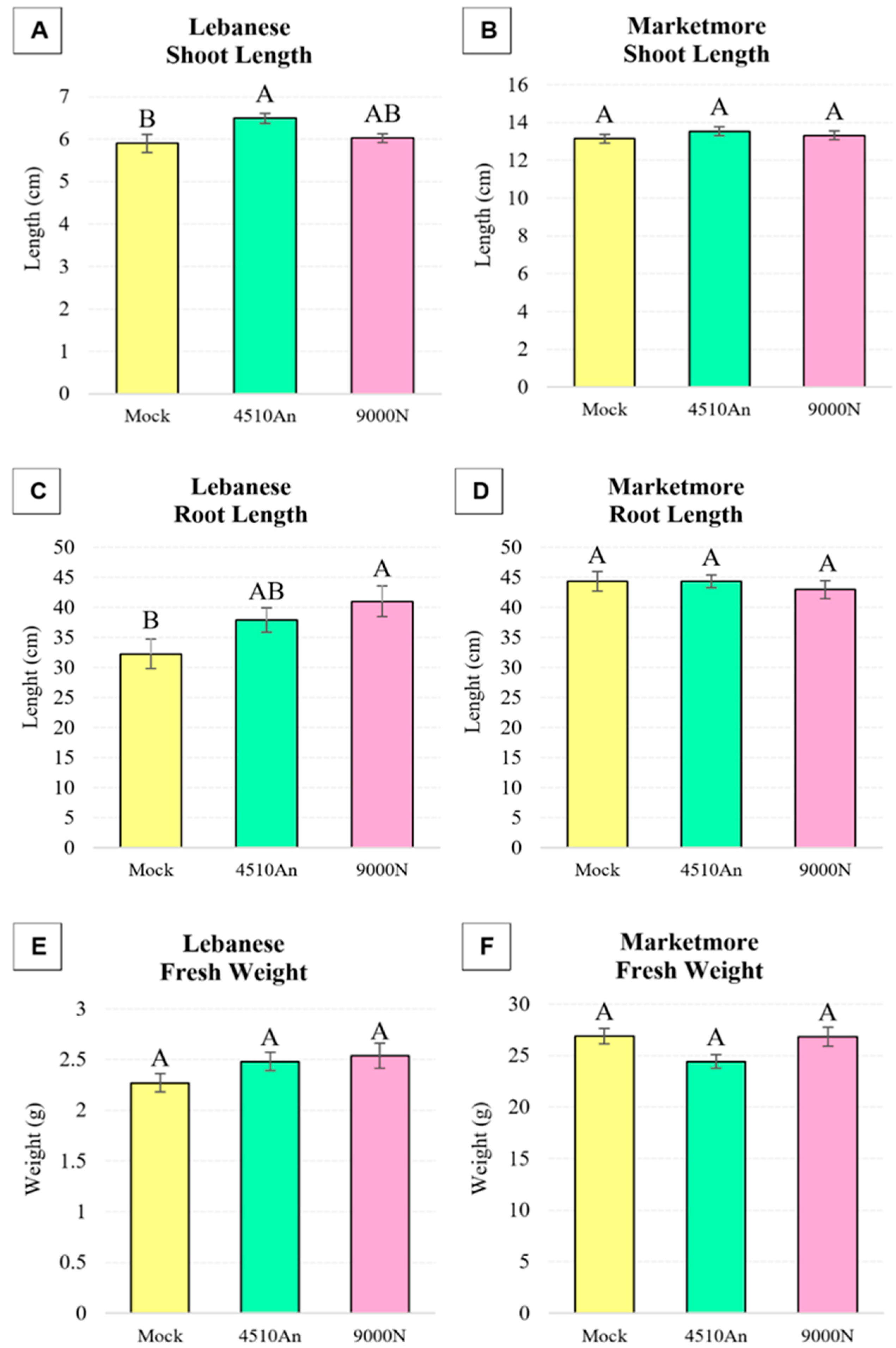Plants 13 03065 g002
