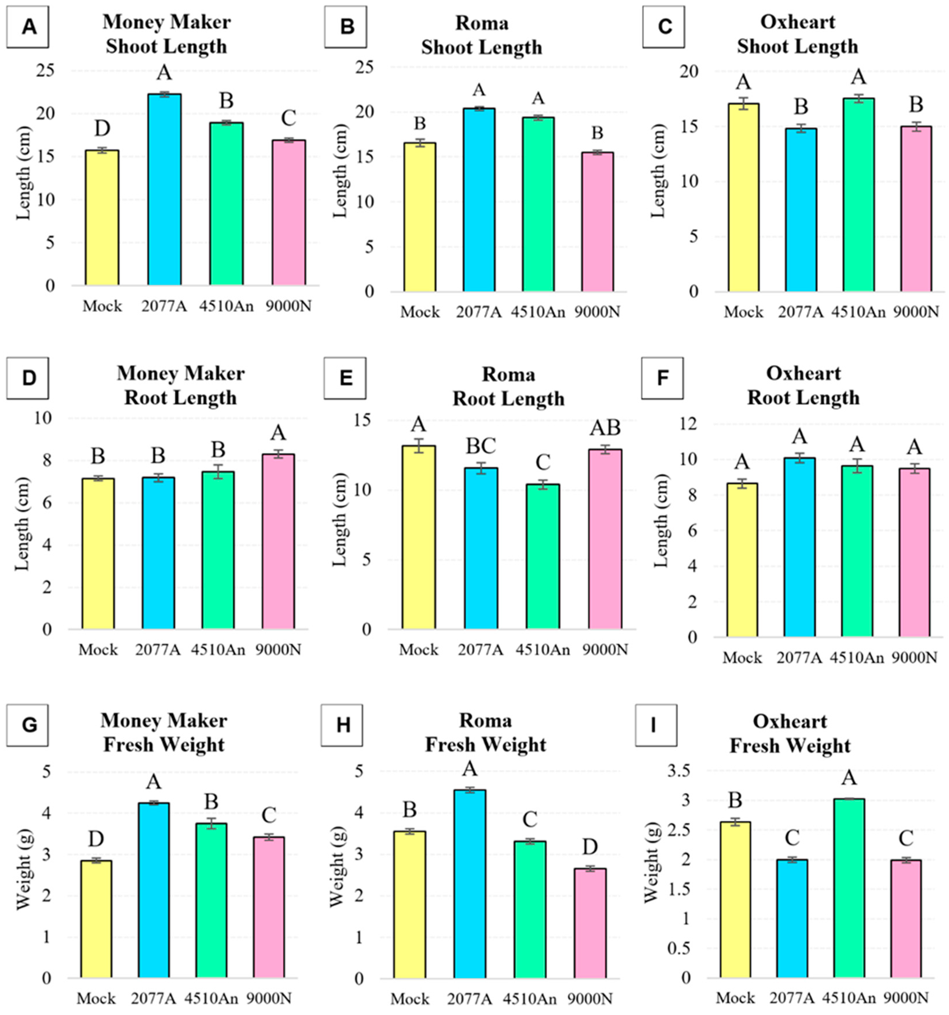 Plants 13 03065 g003