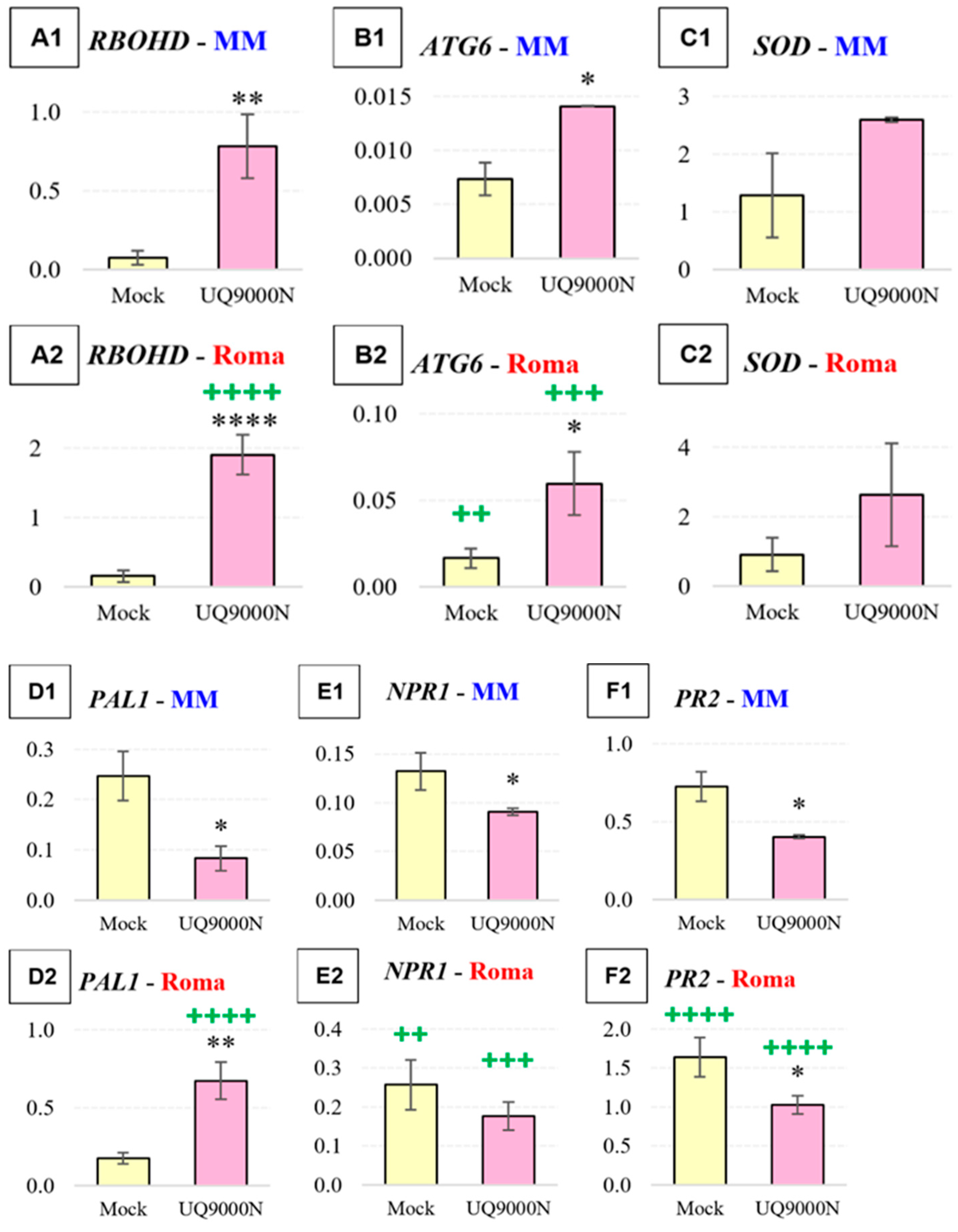 Plants 13 03065 g004a
