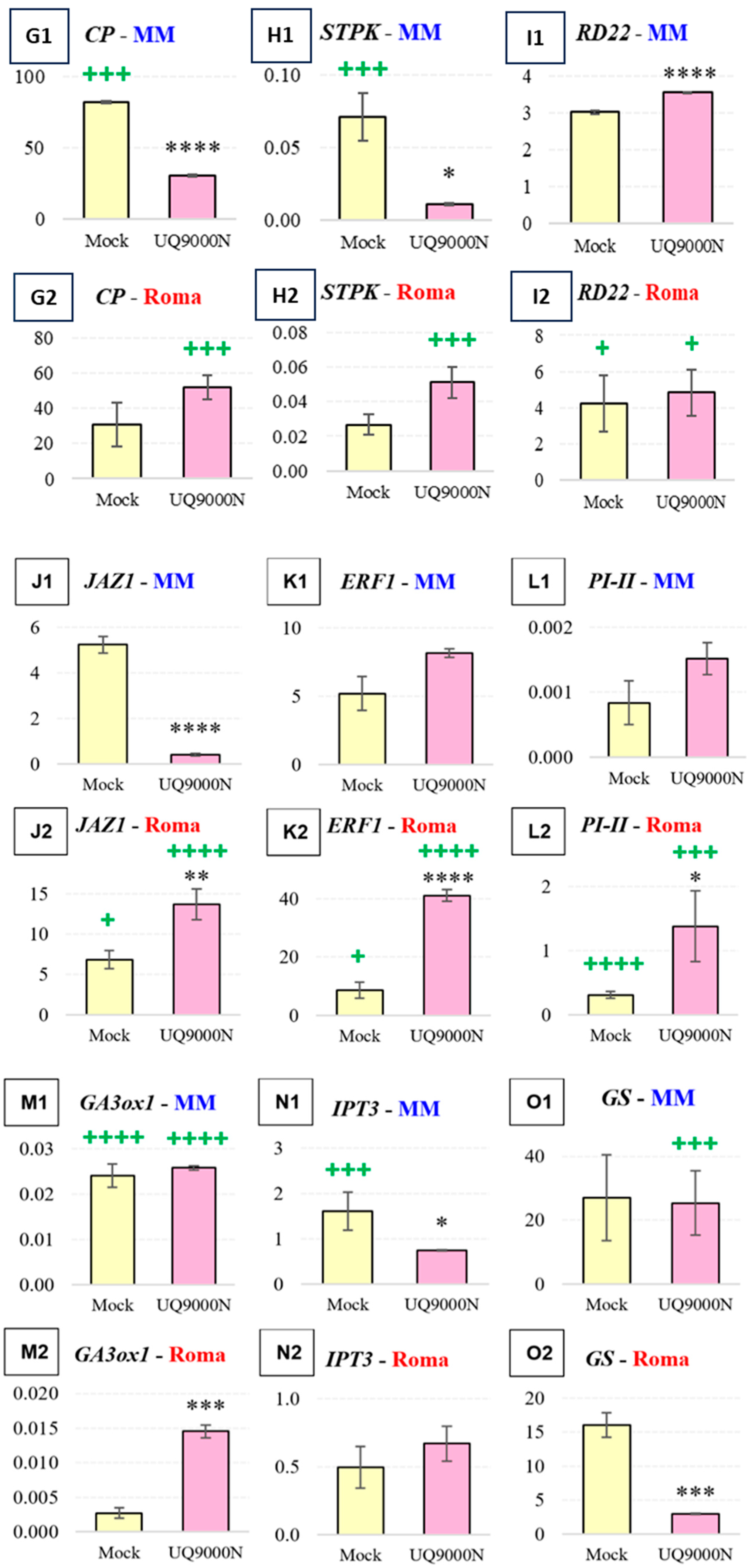 Plants 13 03065 g004b