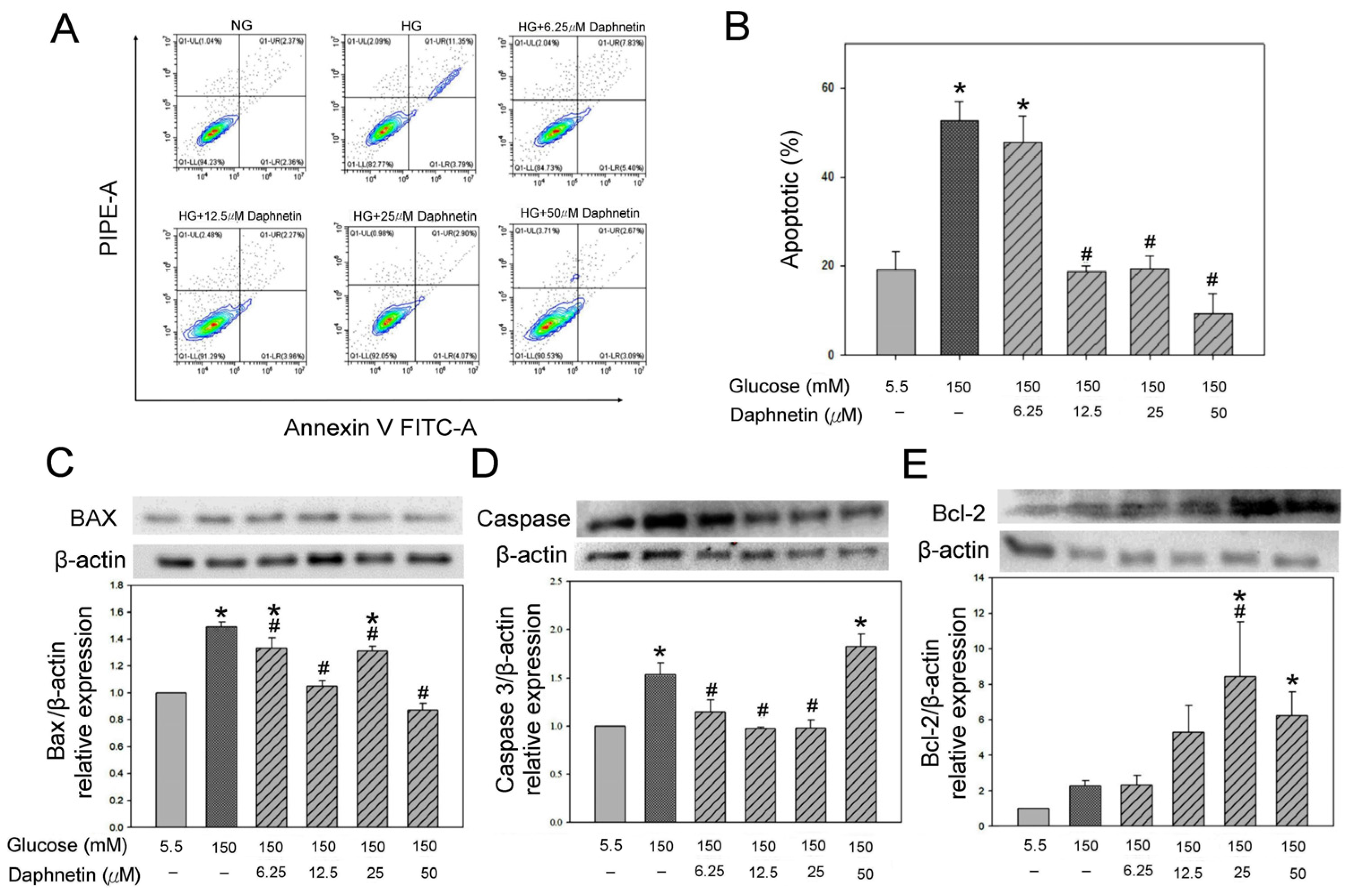 Plants 13 03066 g009