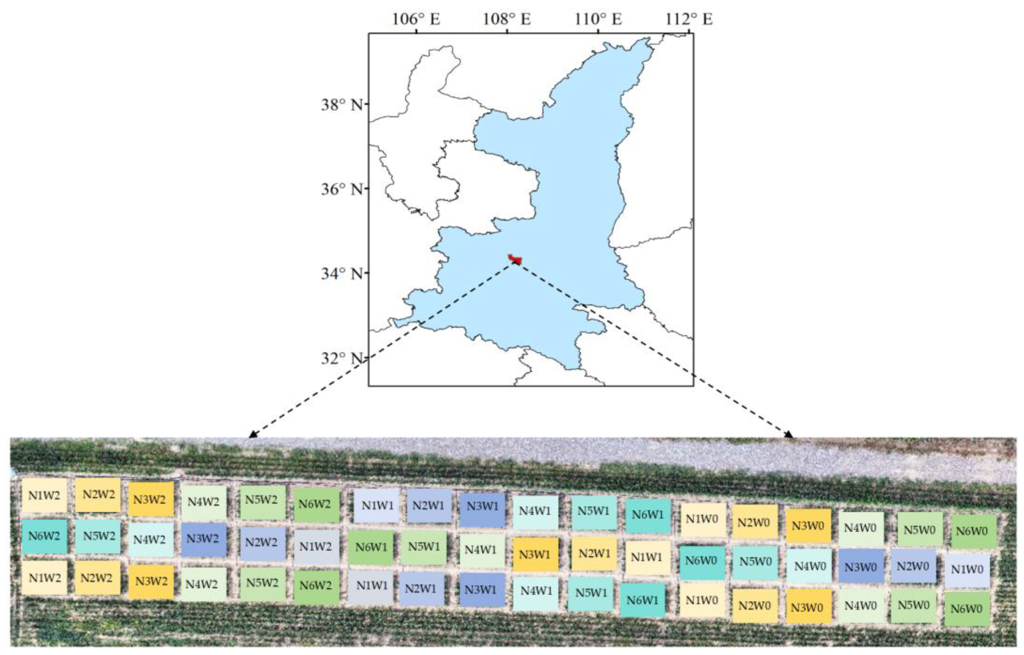 Plants 13 03070 g001