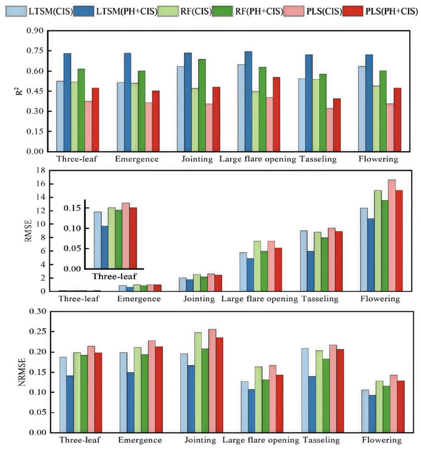 Plants 13 03070 g007