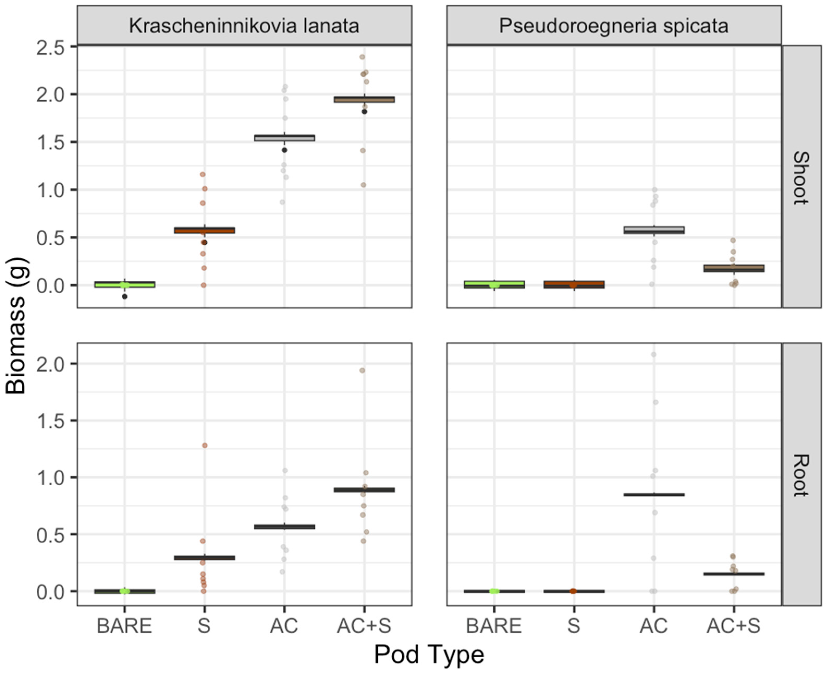Plants 13 03074 g002