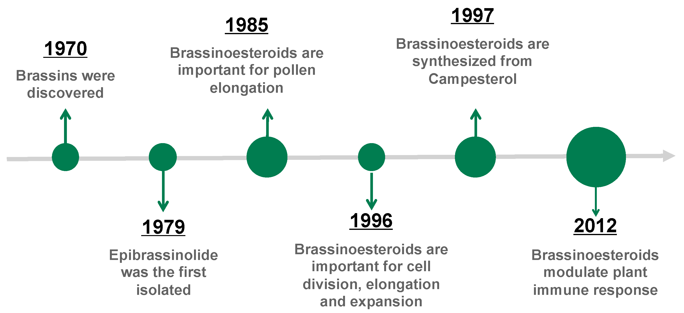 Plants 13 03082 g003
