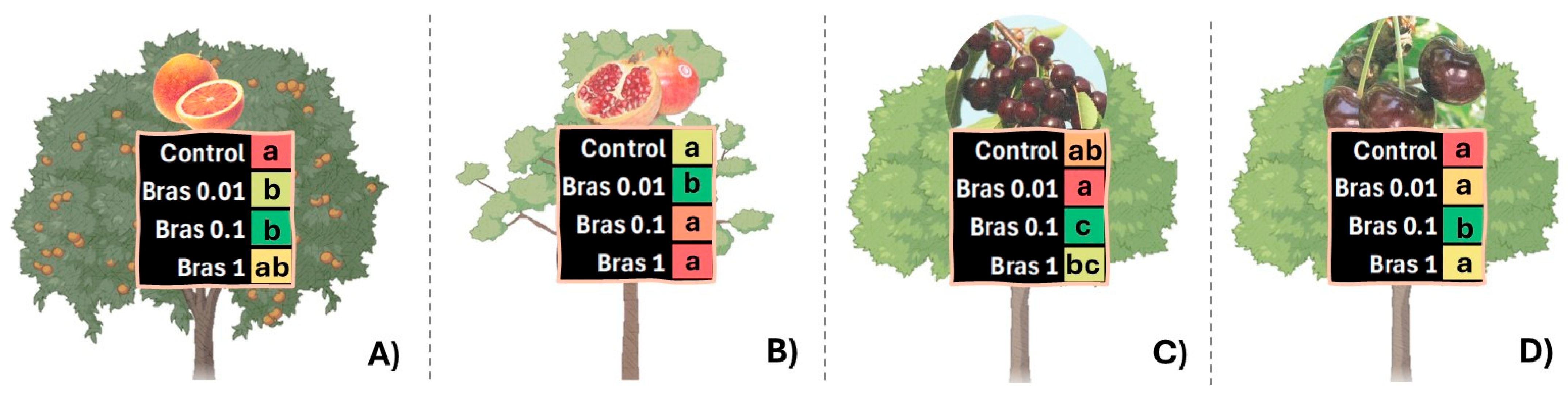 Plants 13 03082 g004