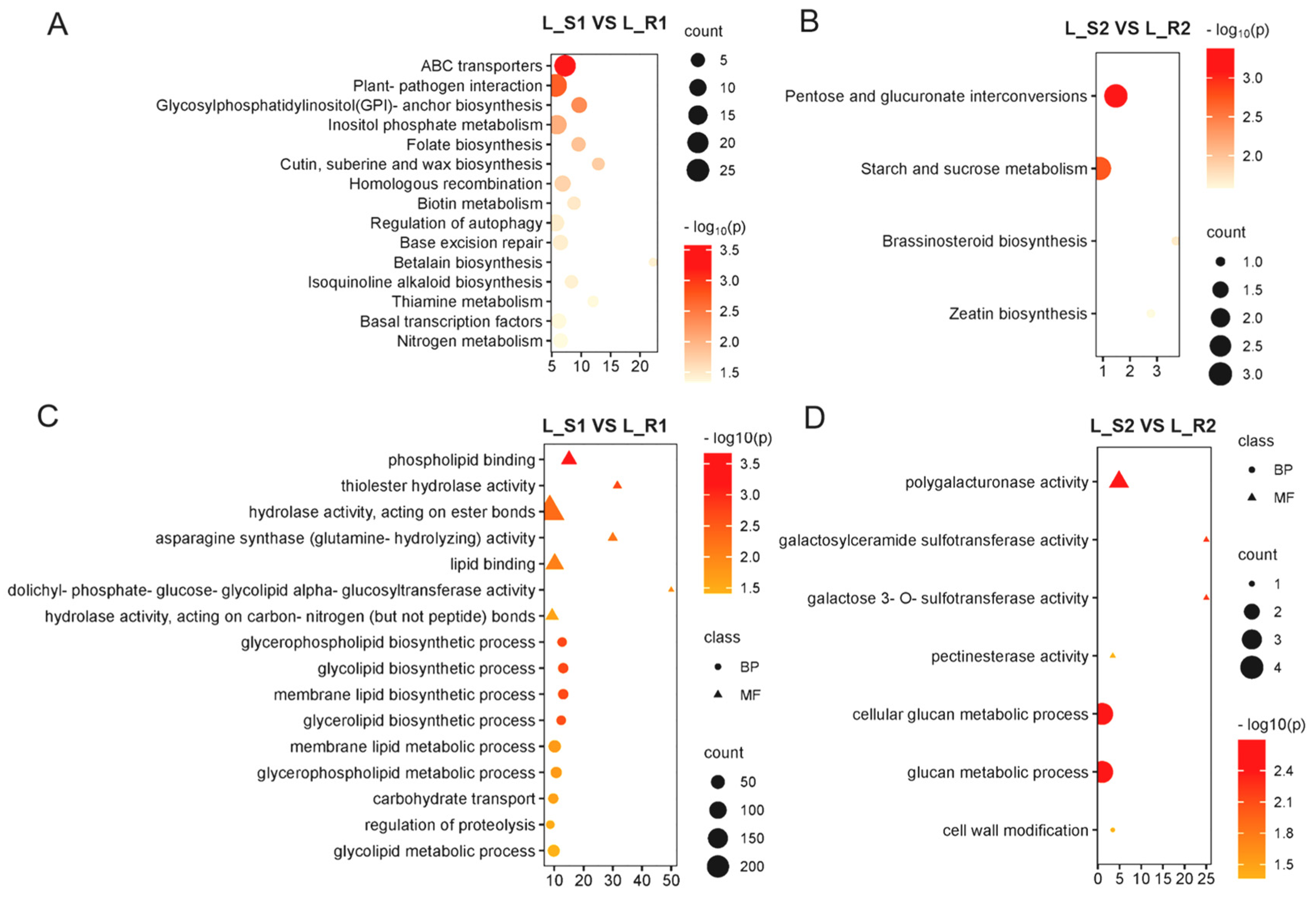 Plants 13 03083 g002