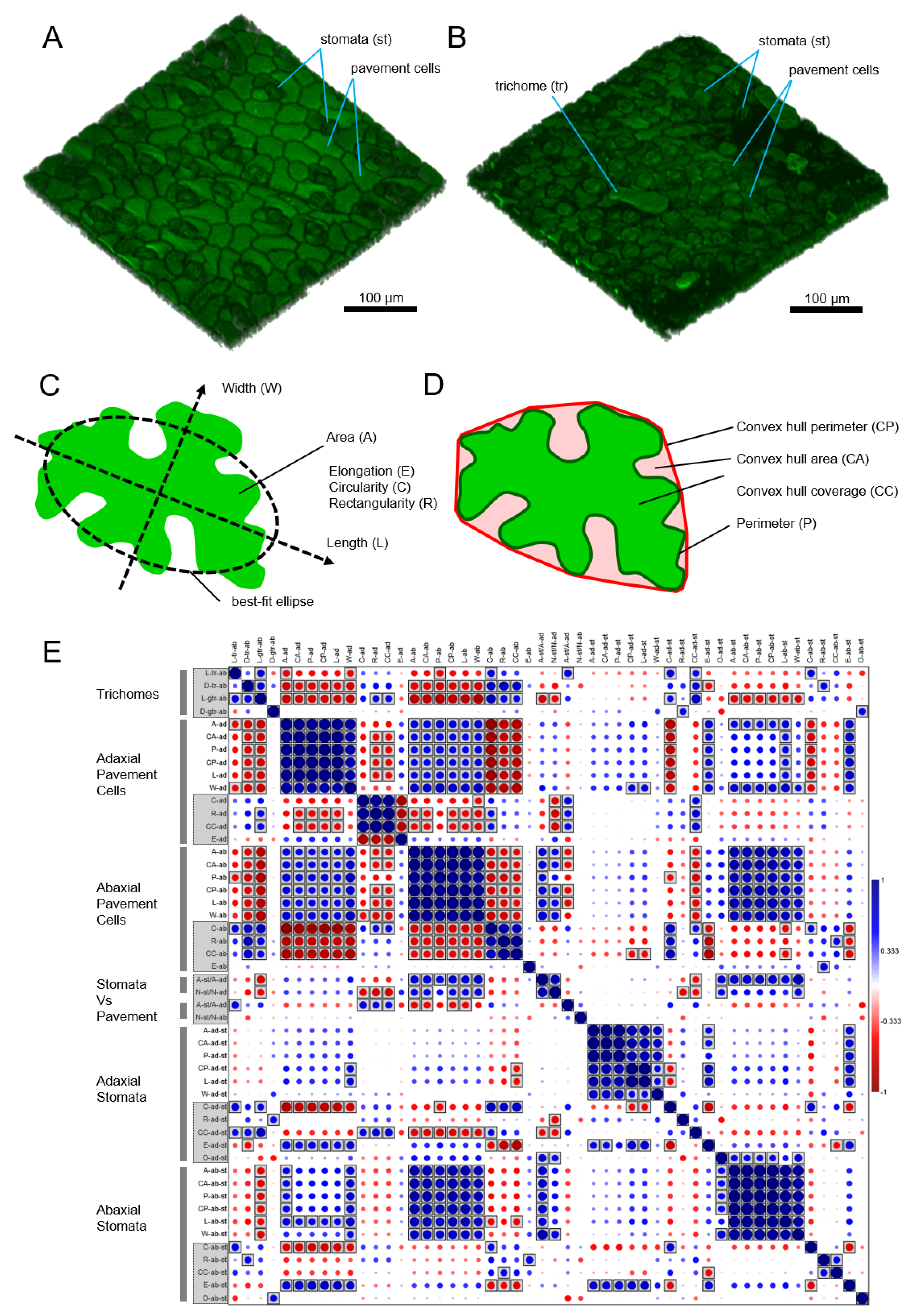Plants 13 03084 g003