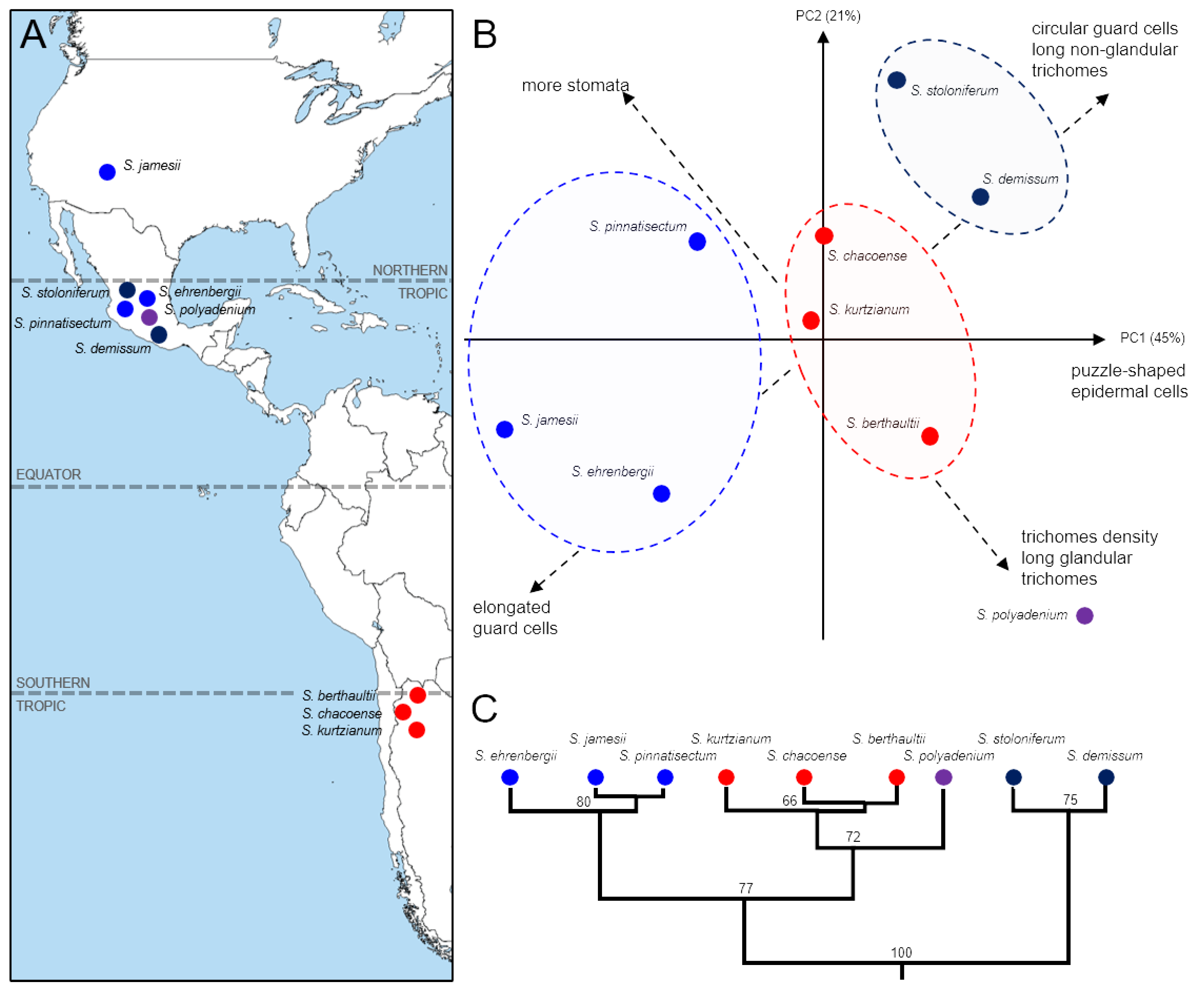 Plants 13 03084 g004