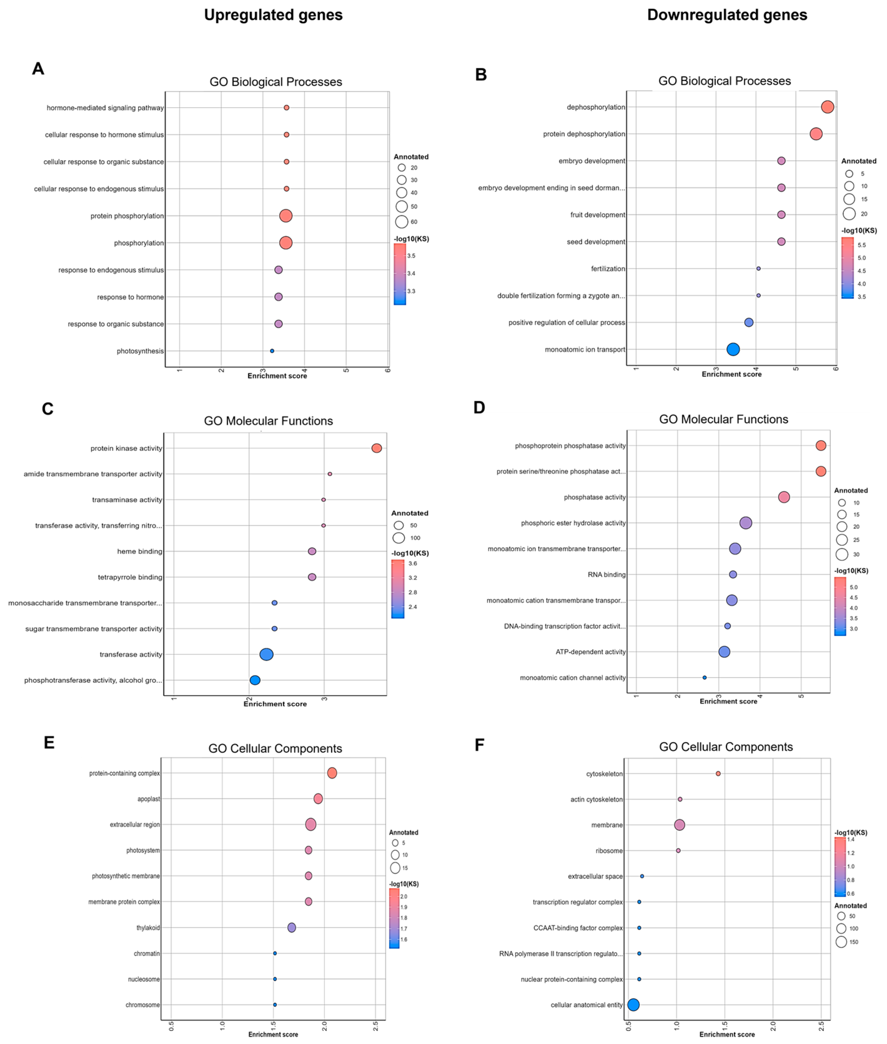 Plants 13 03086 g002