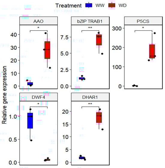 Plants 13 03086 g004