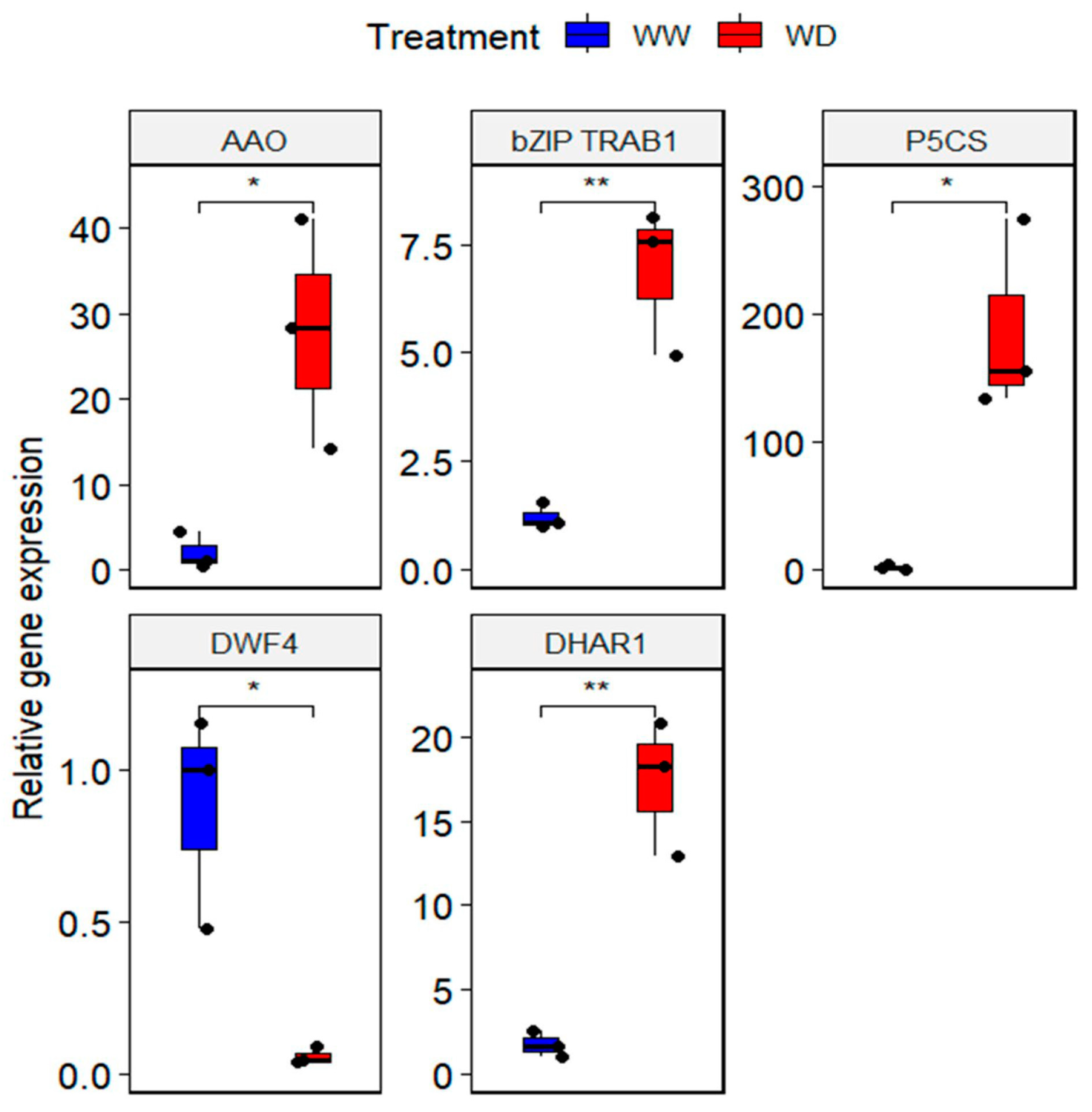 Plants 13 03086 g004