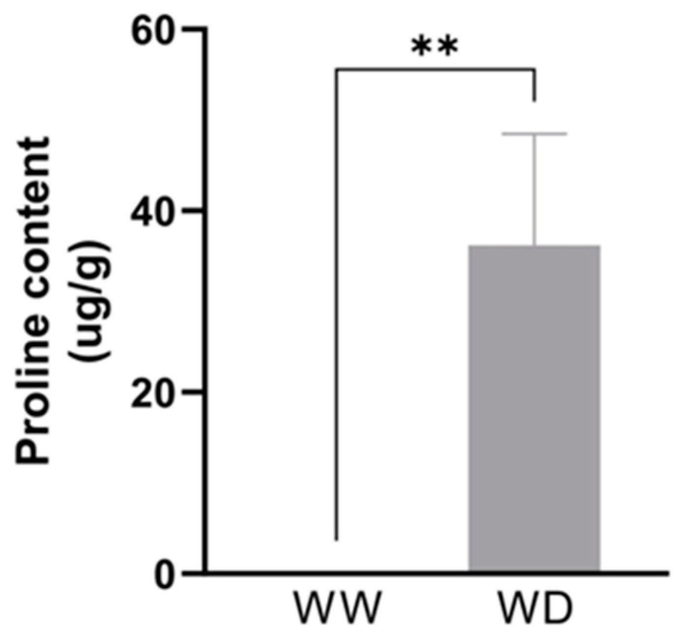 Plants 13 03086 g005