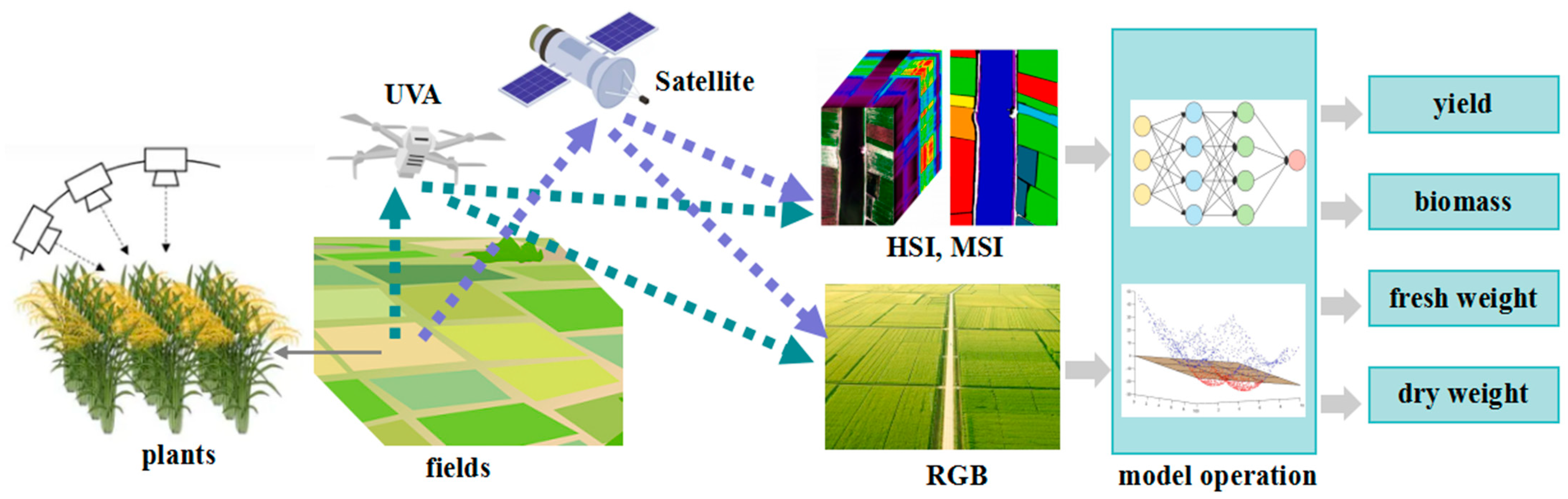 Plants 13 03088 g005