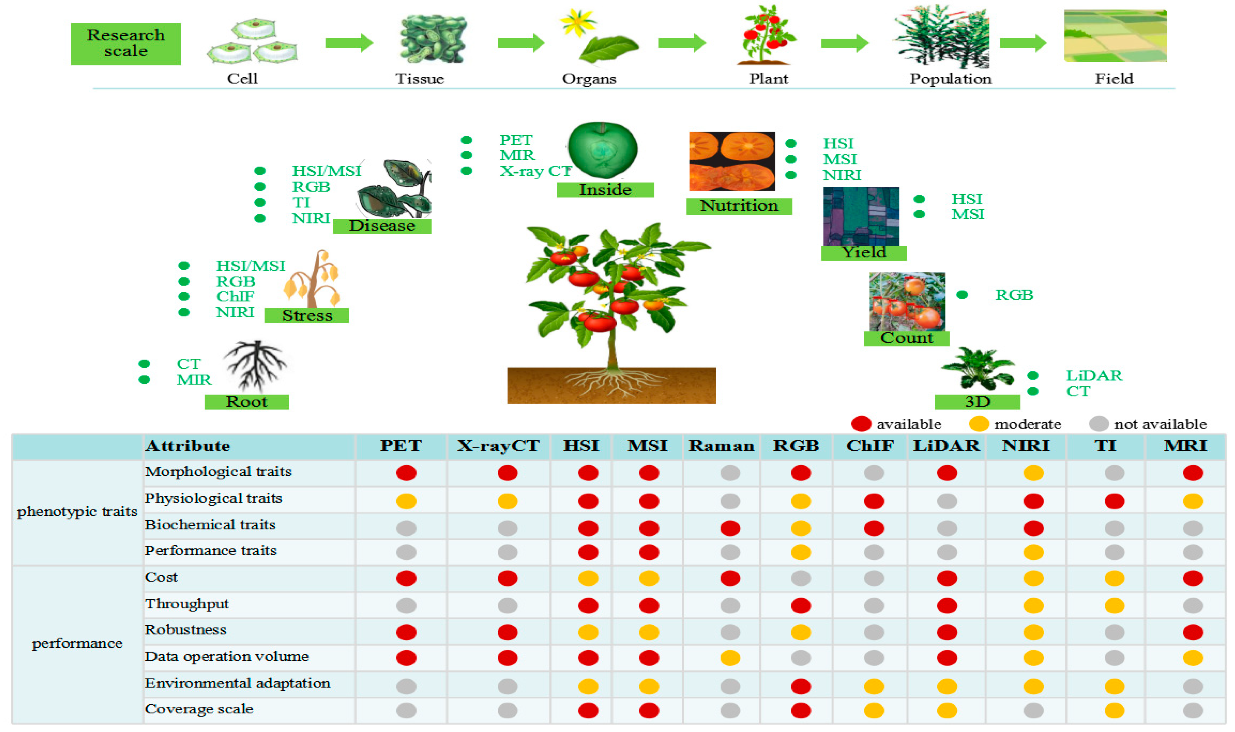Plants 13 03088 g006