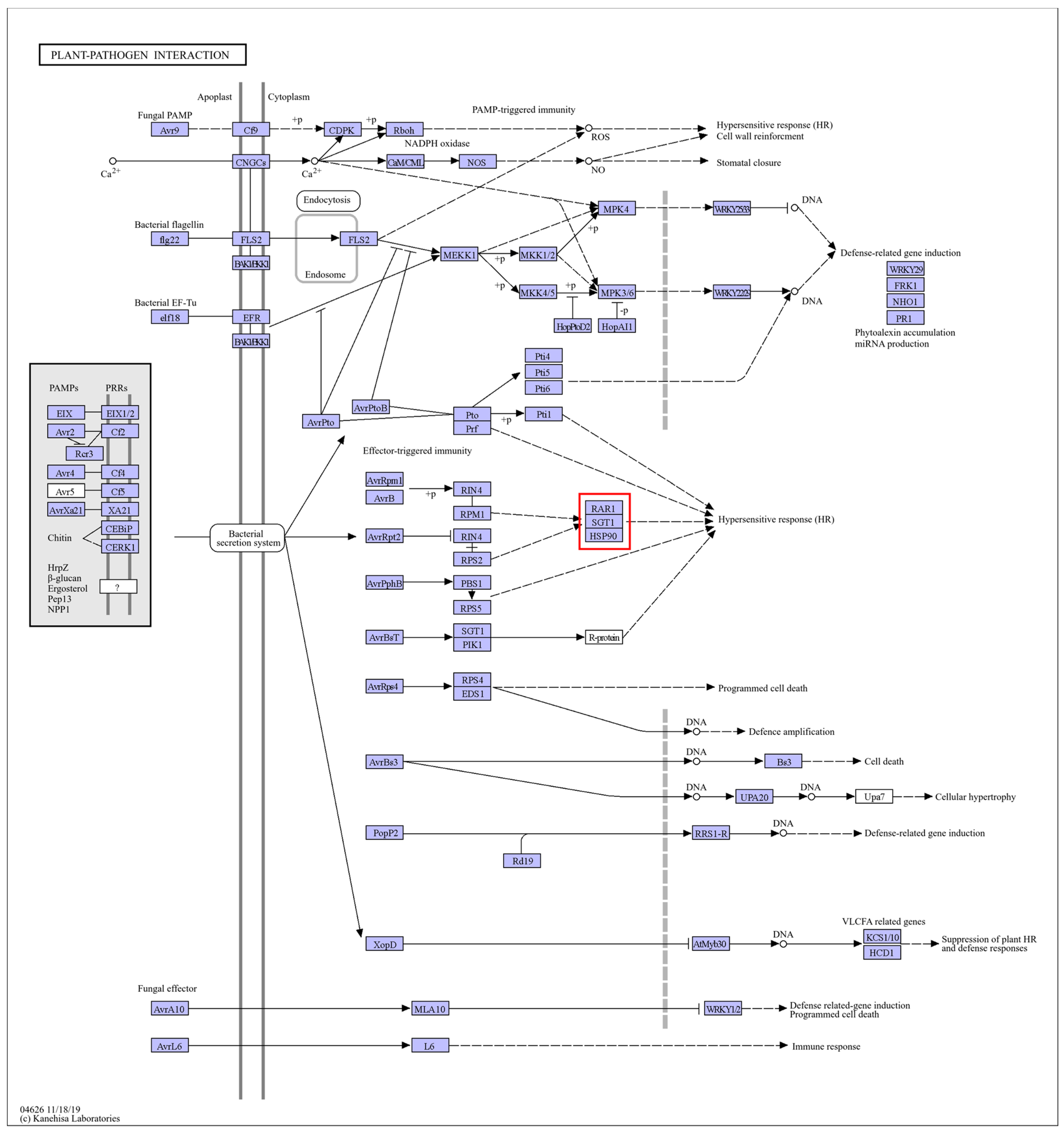 Plants 13 03089 g005