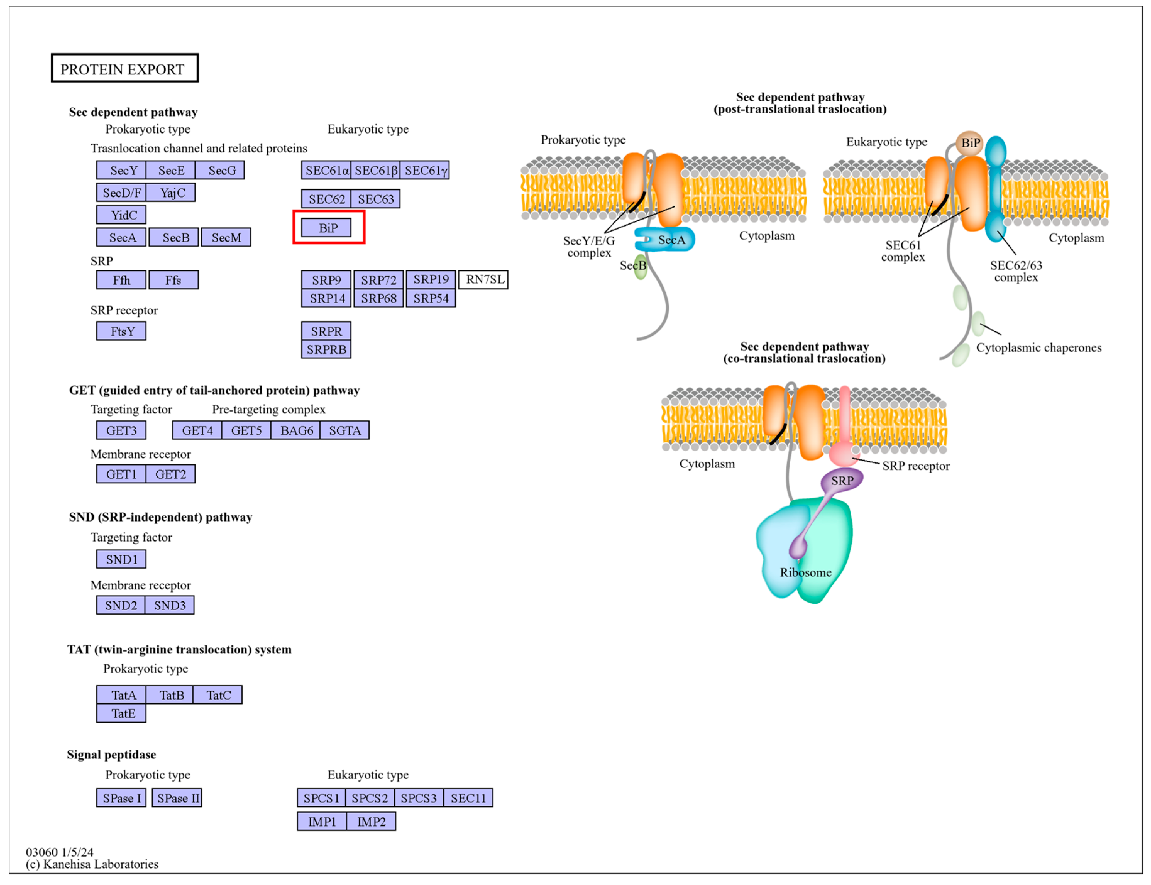 Plants 13 03089 g007