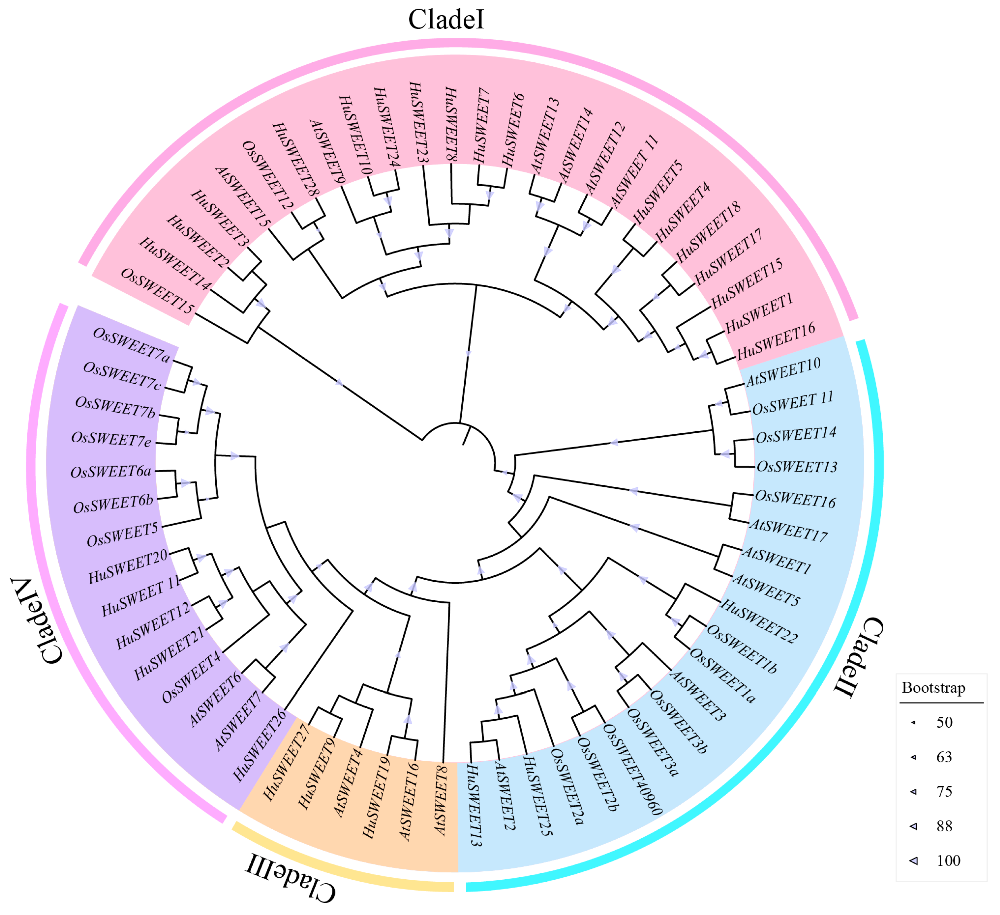 Plants 13 03092 g001