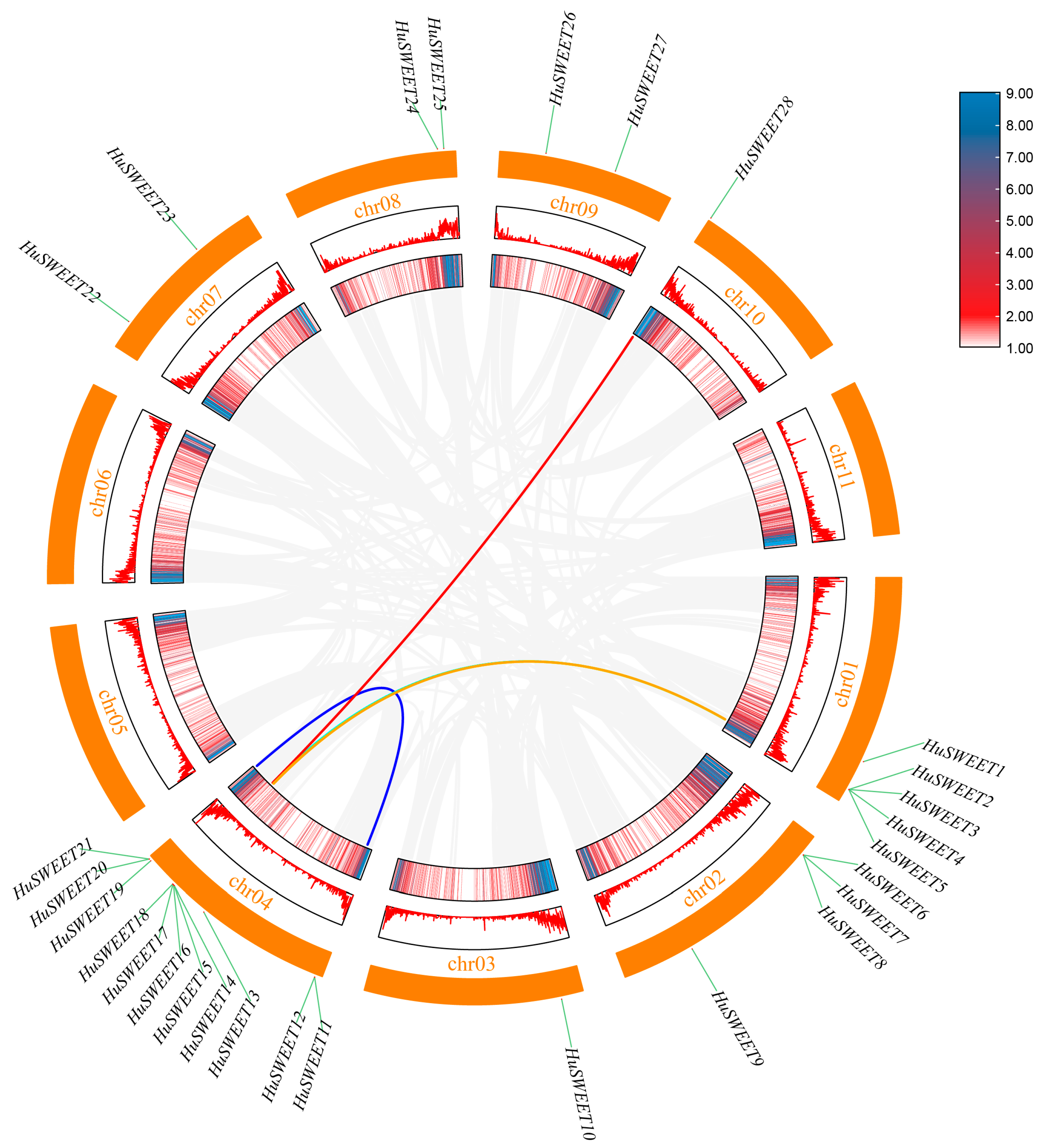 Plants 13 03092 g004