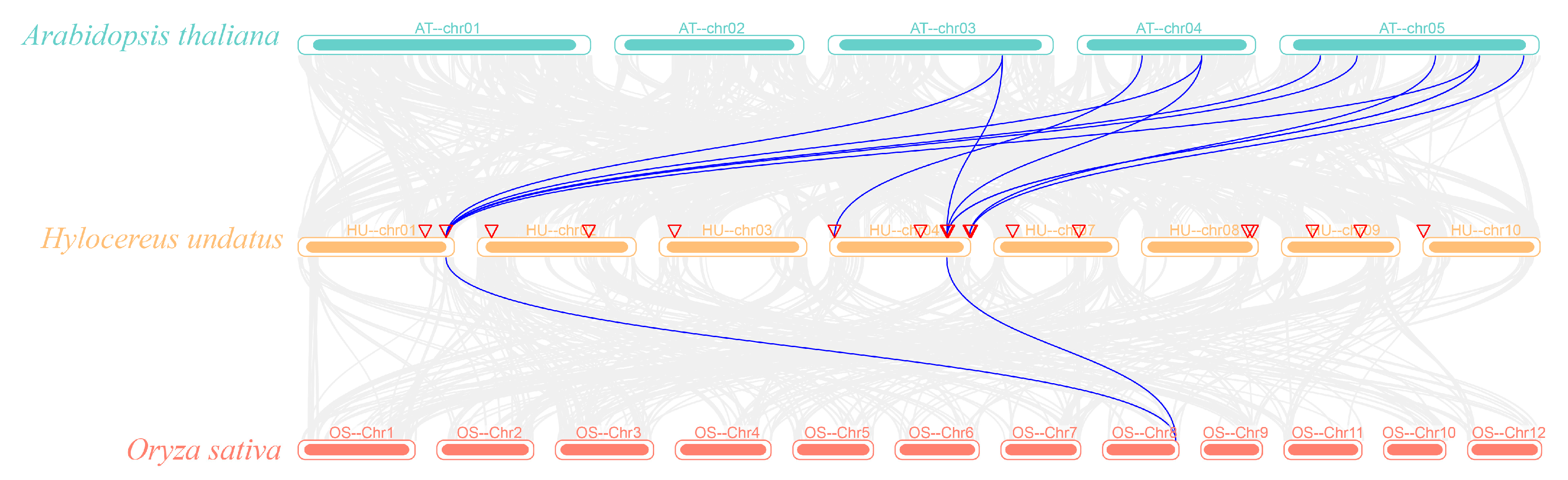 Plants 13 03092 g005