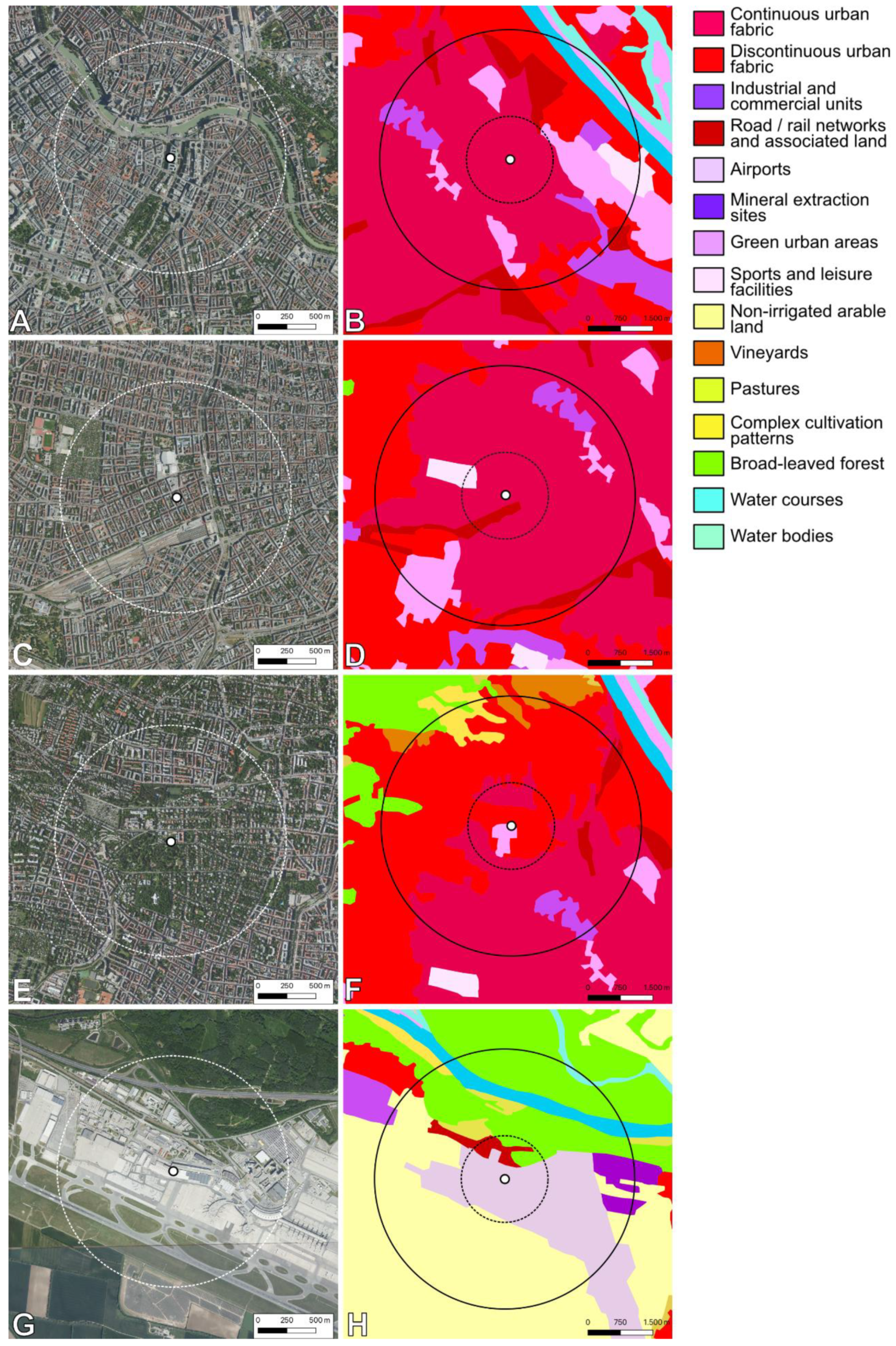 Plants 13 03094 g008
