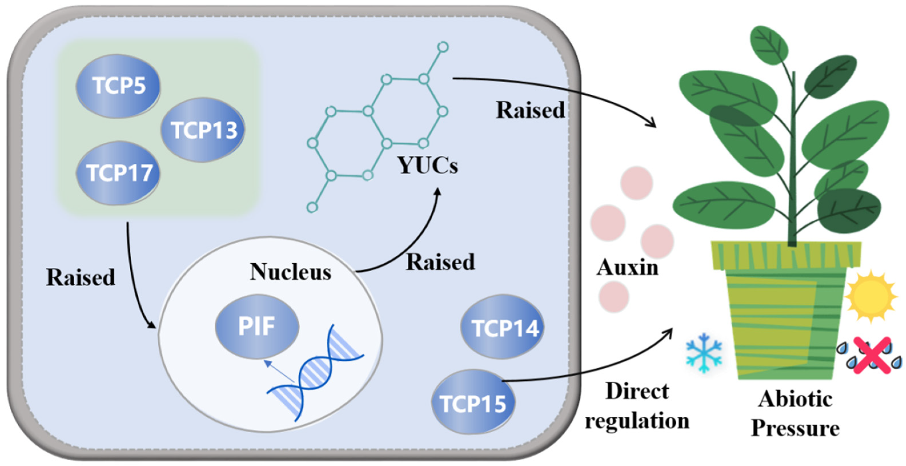 Plants 13 03095 g001