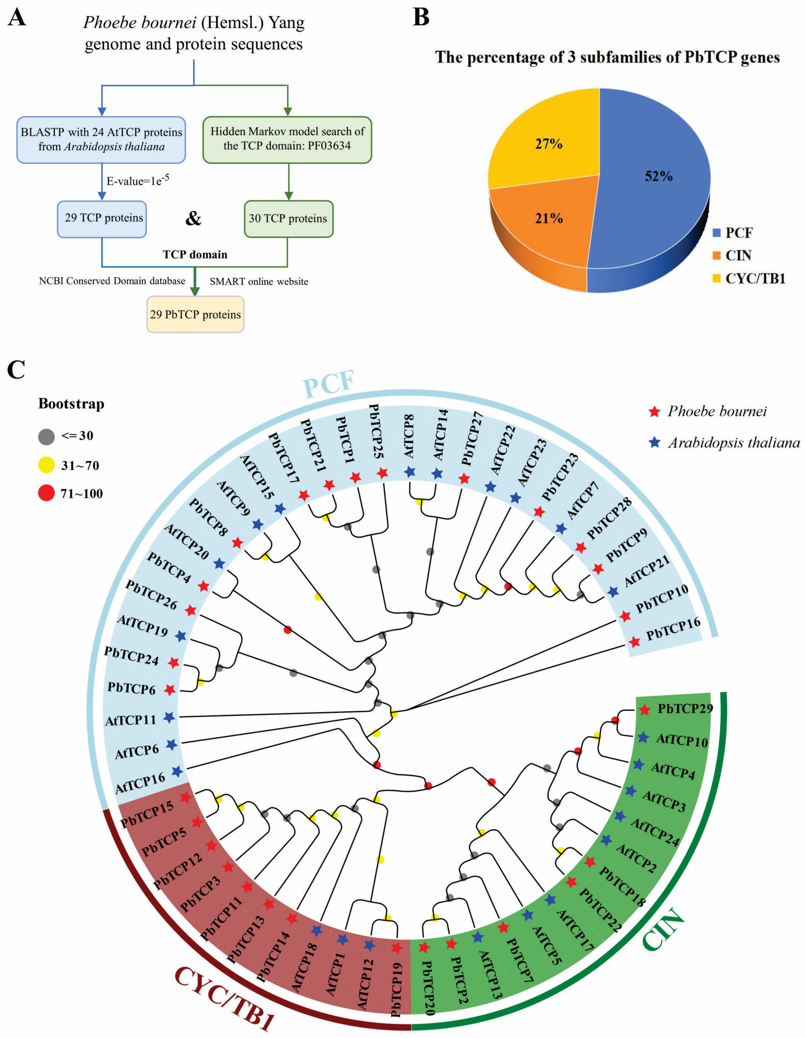 Plants 13 03095 g003