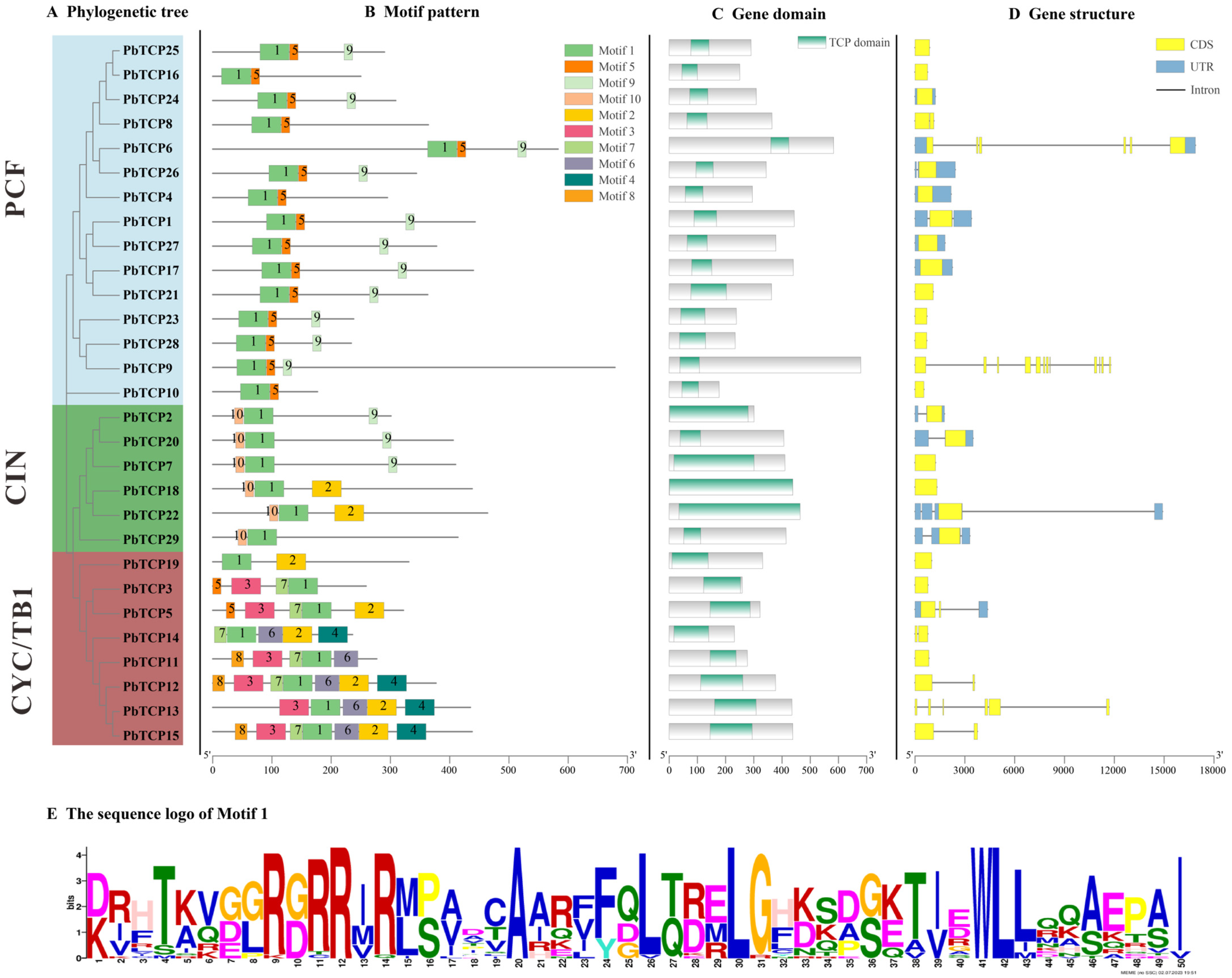 Plants 13 03095 g006