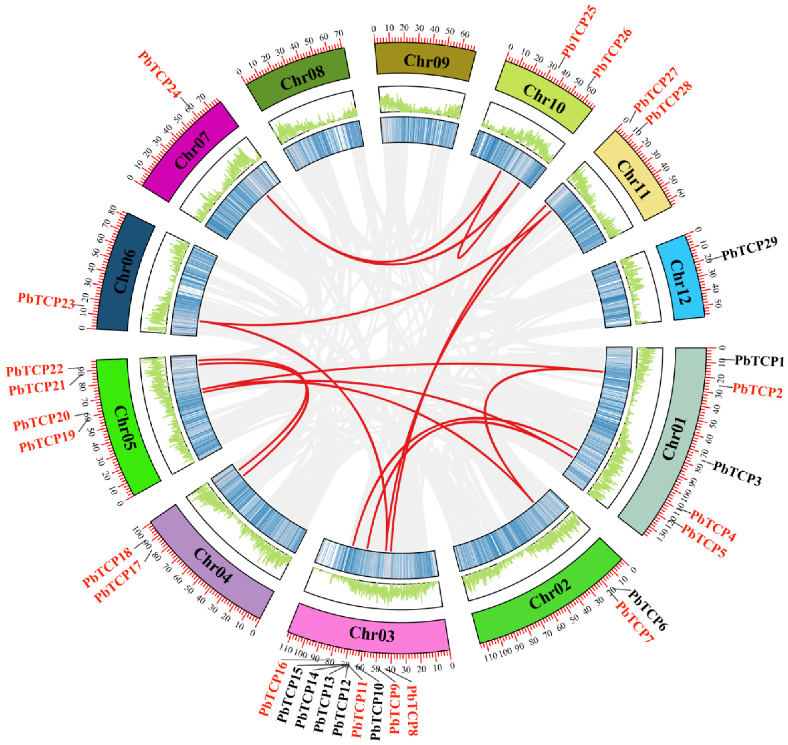 Plants 13 03095 g007