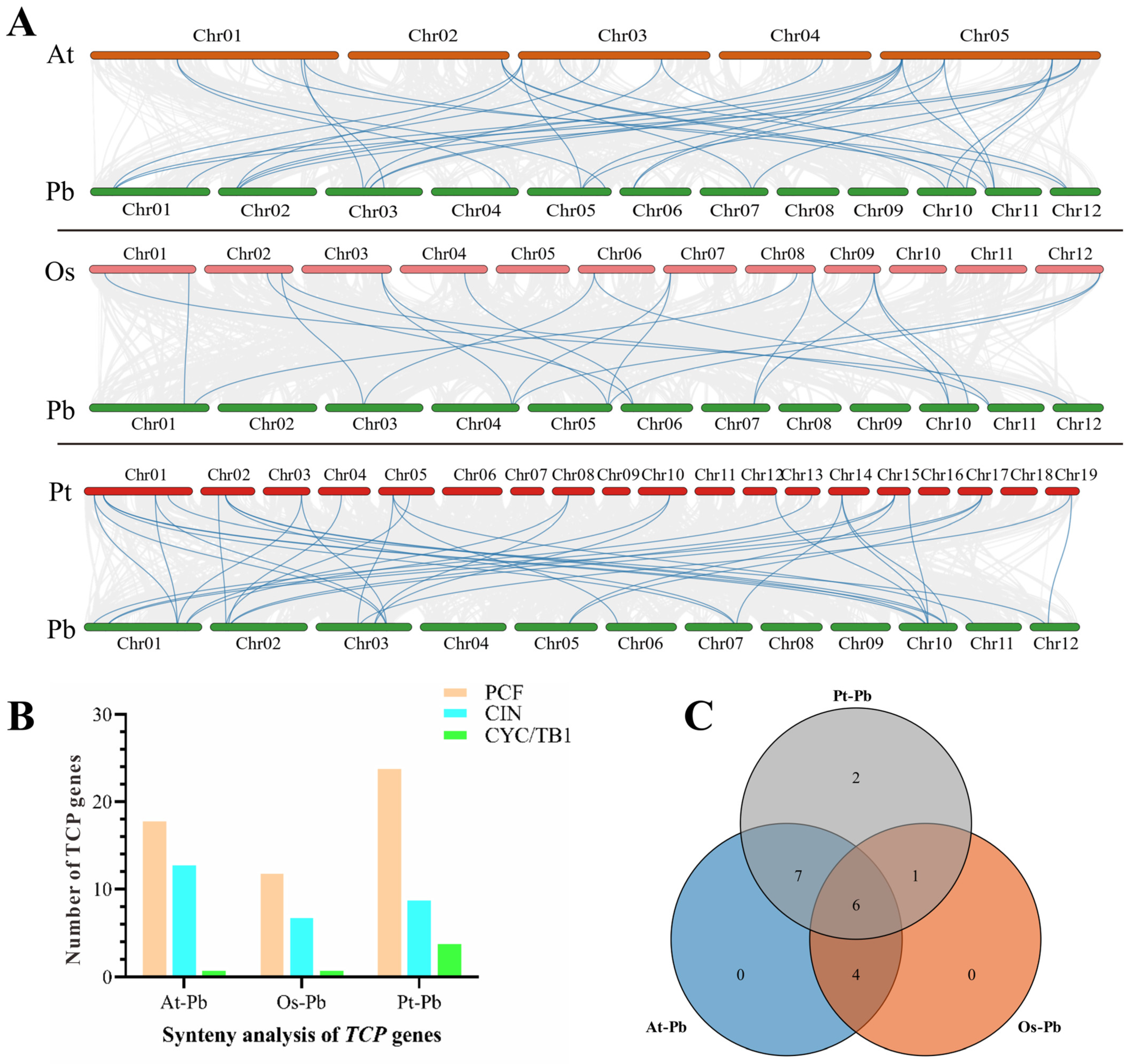 Plants 13 03095 g008