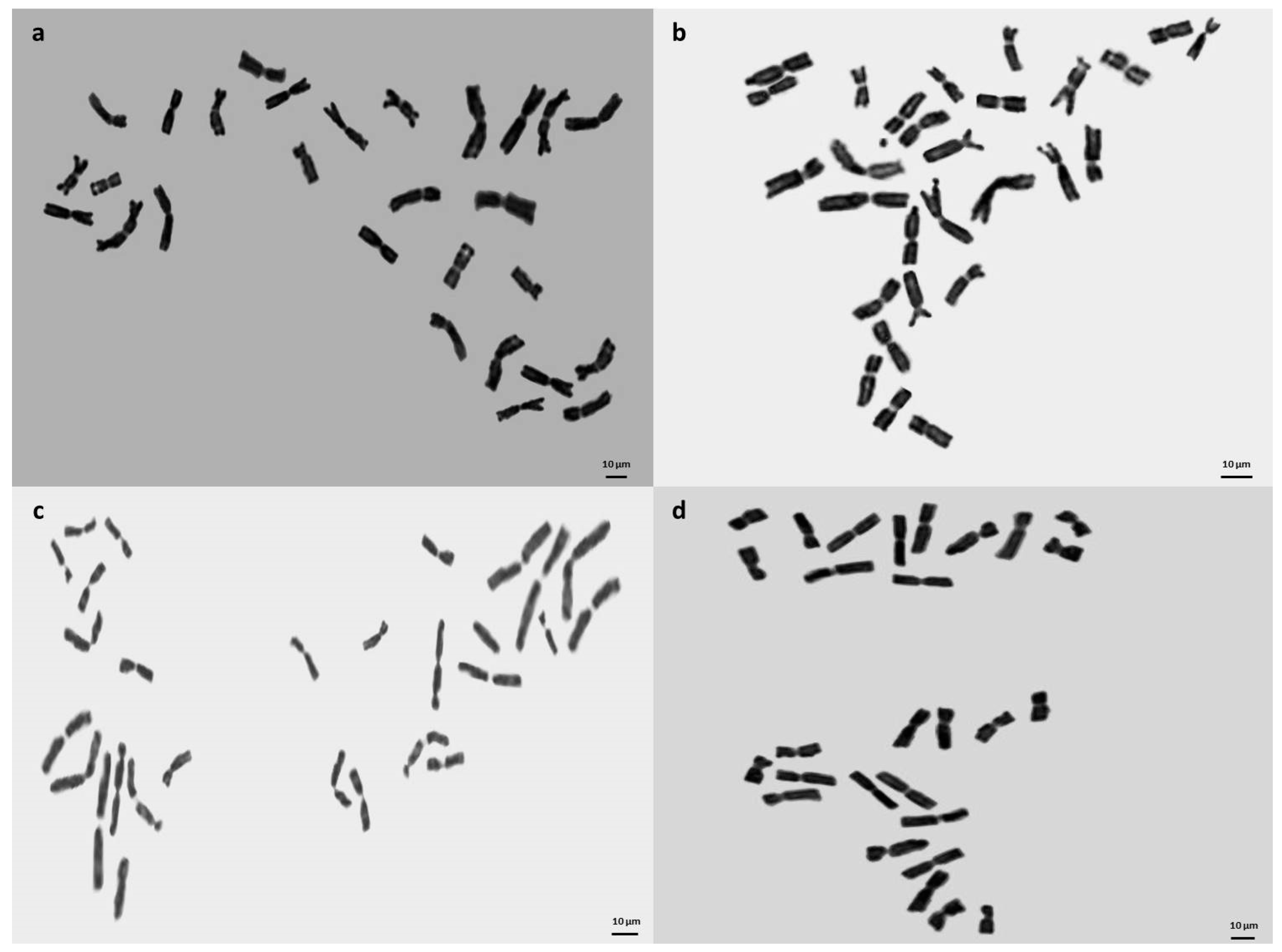 Plants 13 03096 g005