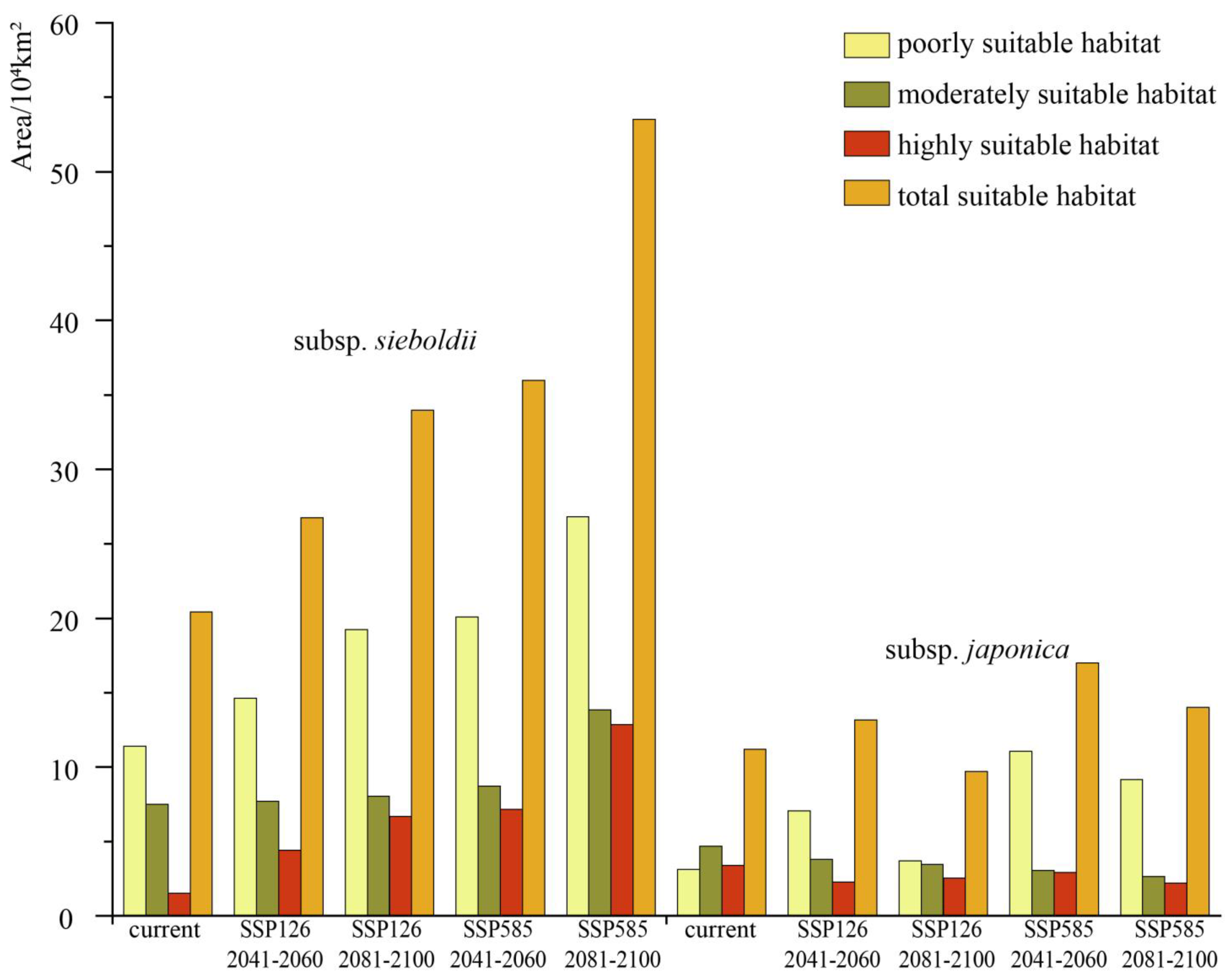 Plants 13 03097 g004