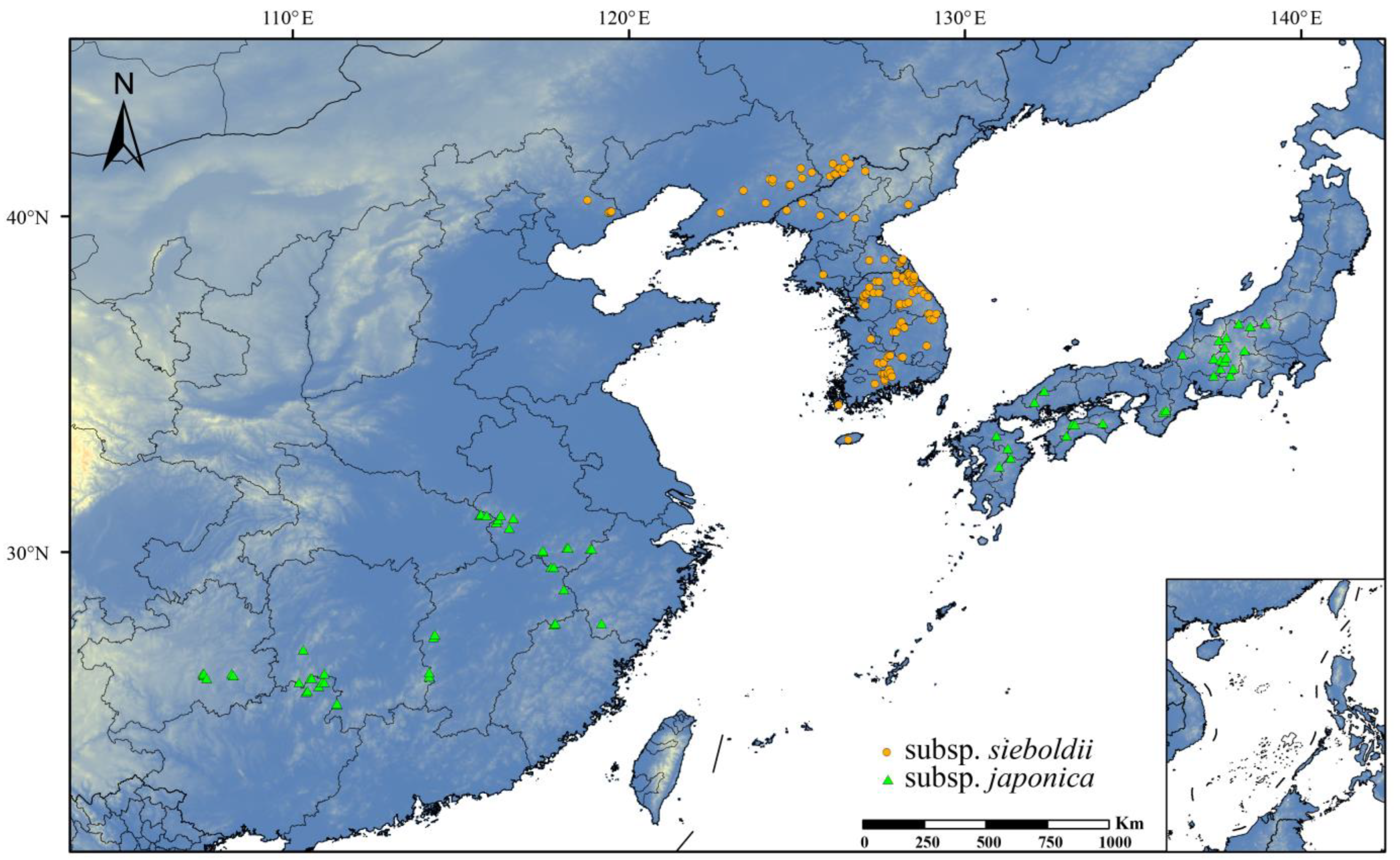 Plants 13 03097 g006