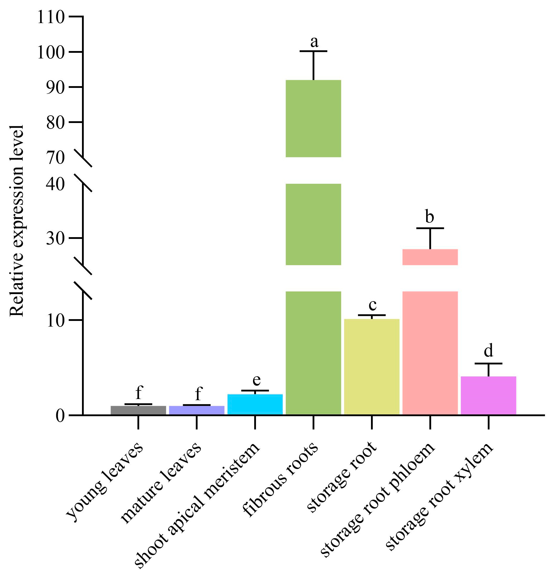 Plants 13 03102 g001