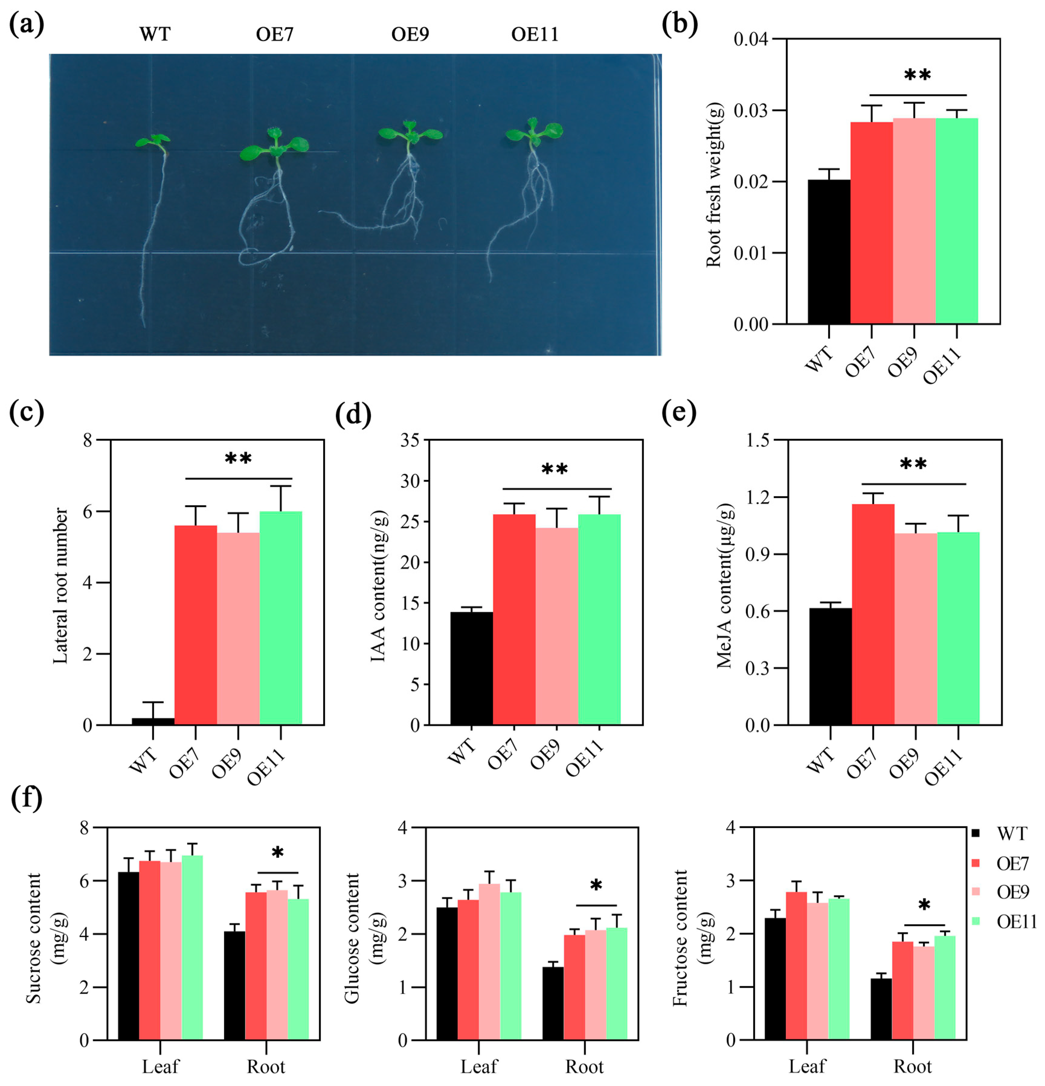 Plants 13 03102 g004