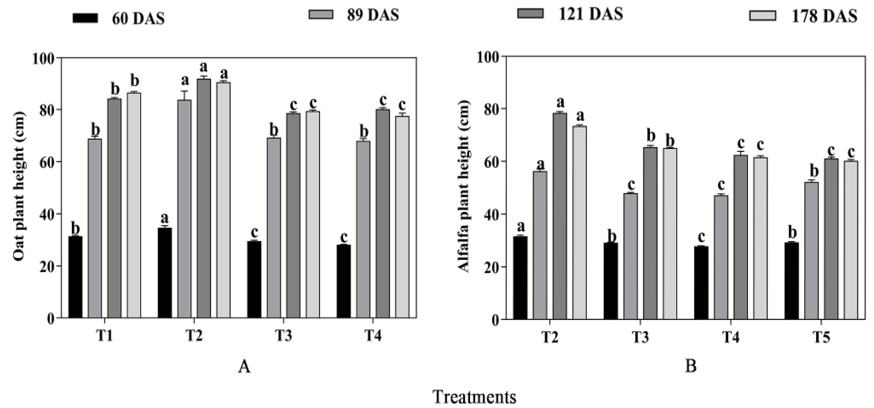 Plants 13 03103 g001