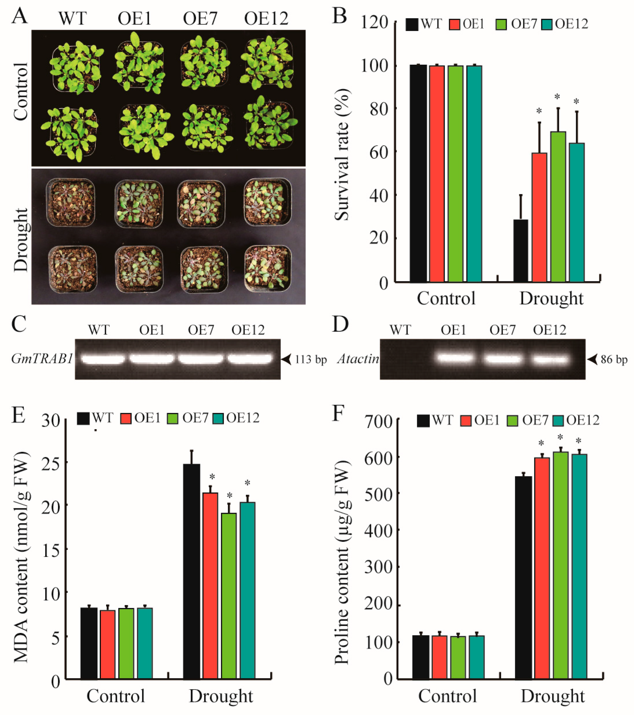 Plants 13 03104 g003