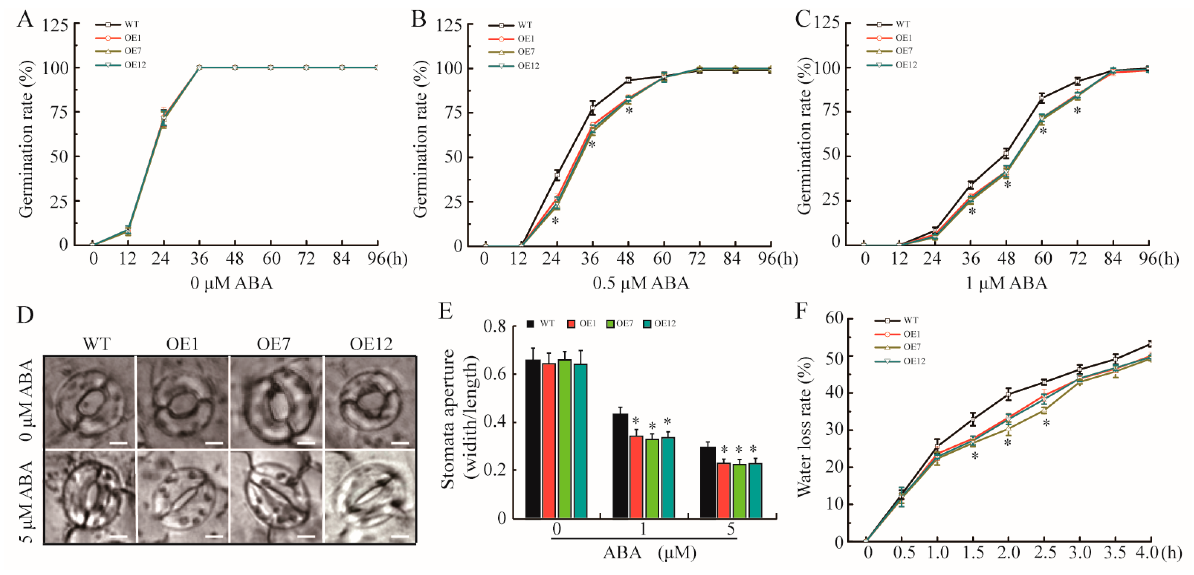 Plants 13 03104 g004