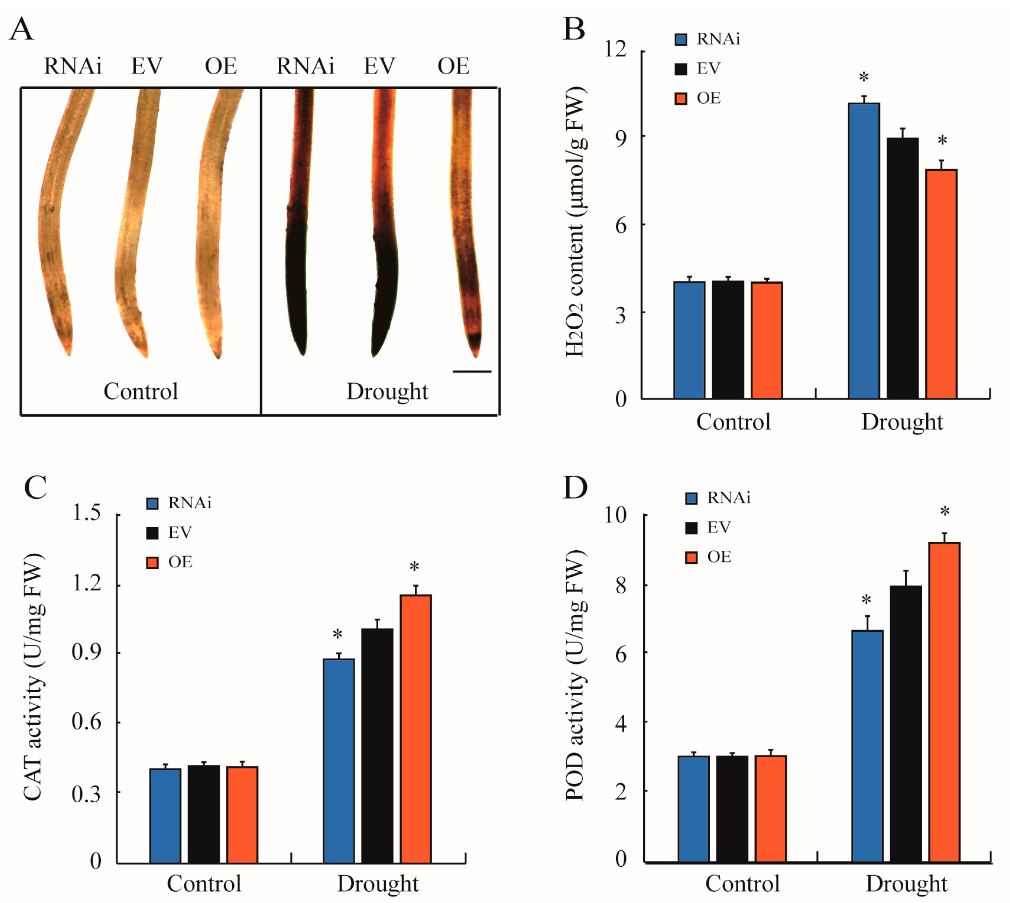 Plants 13 03104 g006