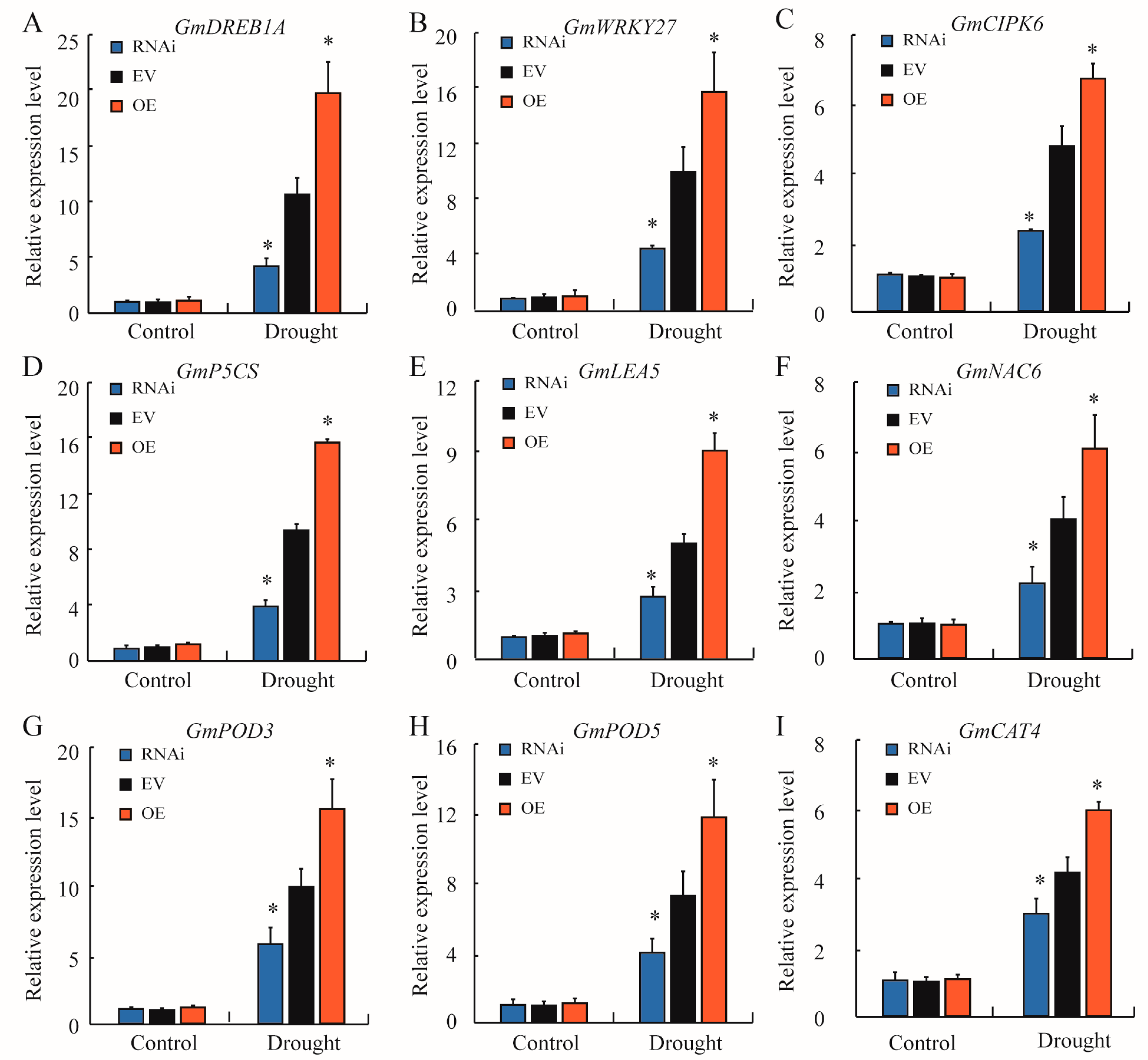 Plants 13 03104 g007
