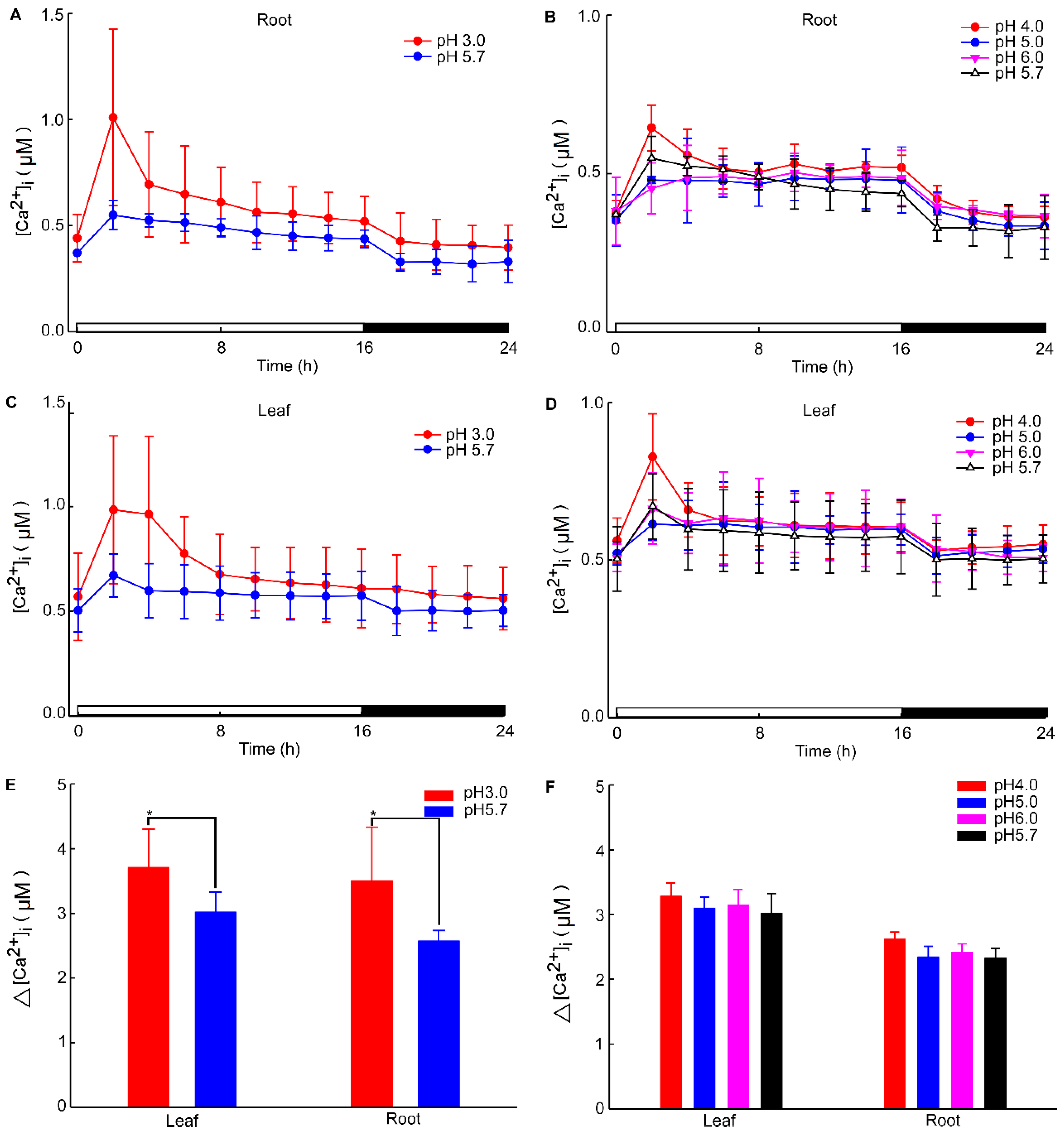 Plants 13 03107 g002