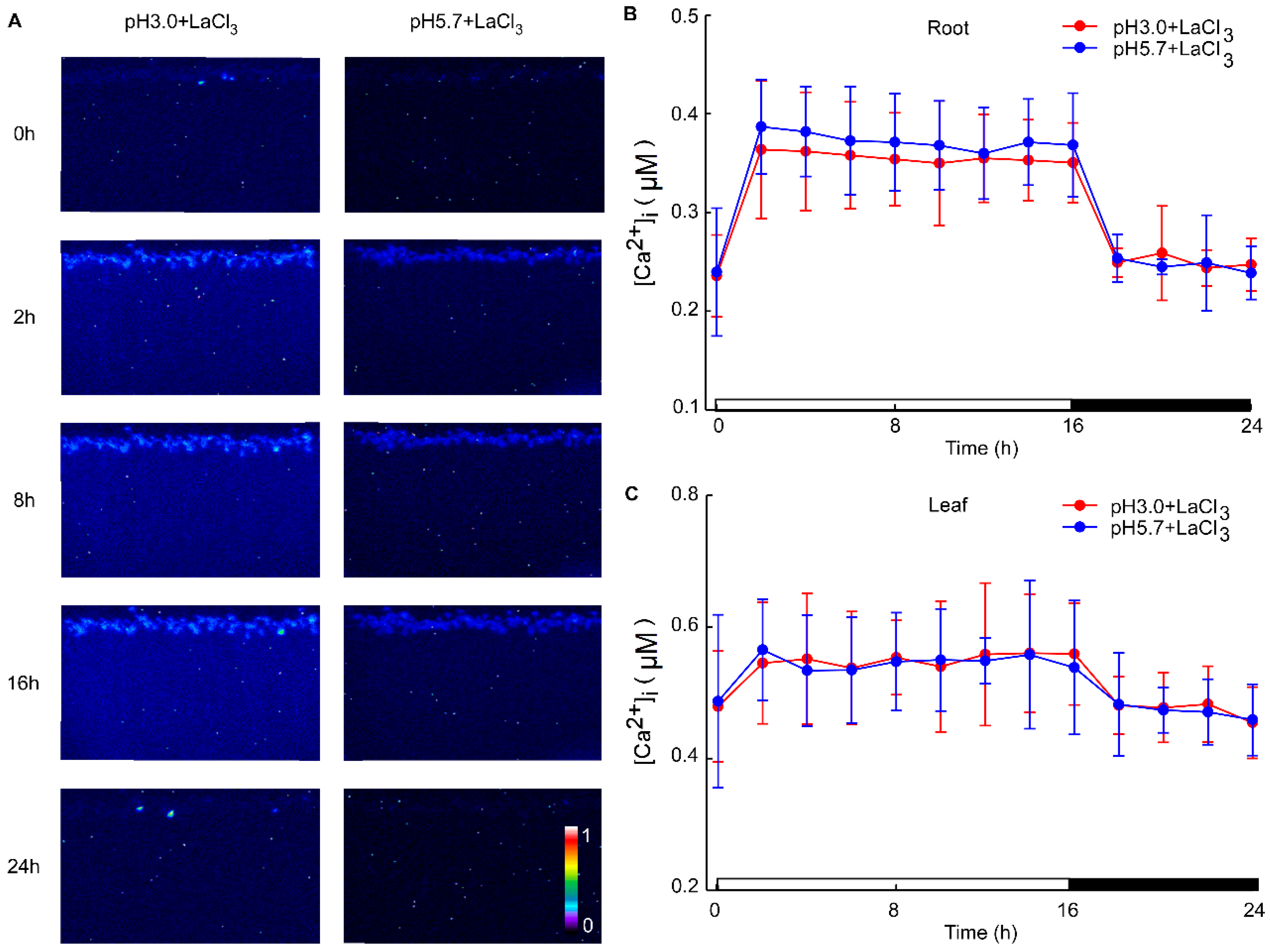 Plants 13 03107 g003
