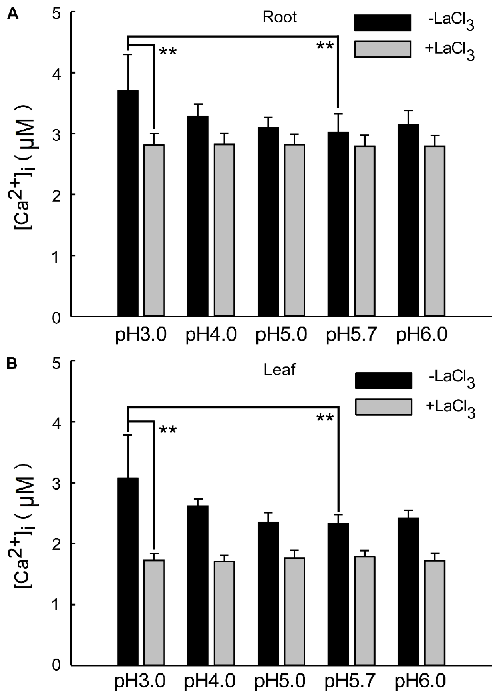 Plants 13 03107 g004
